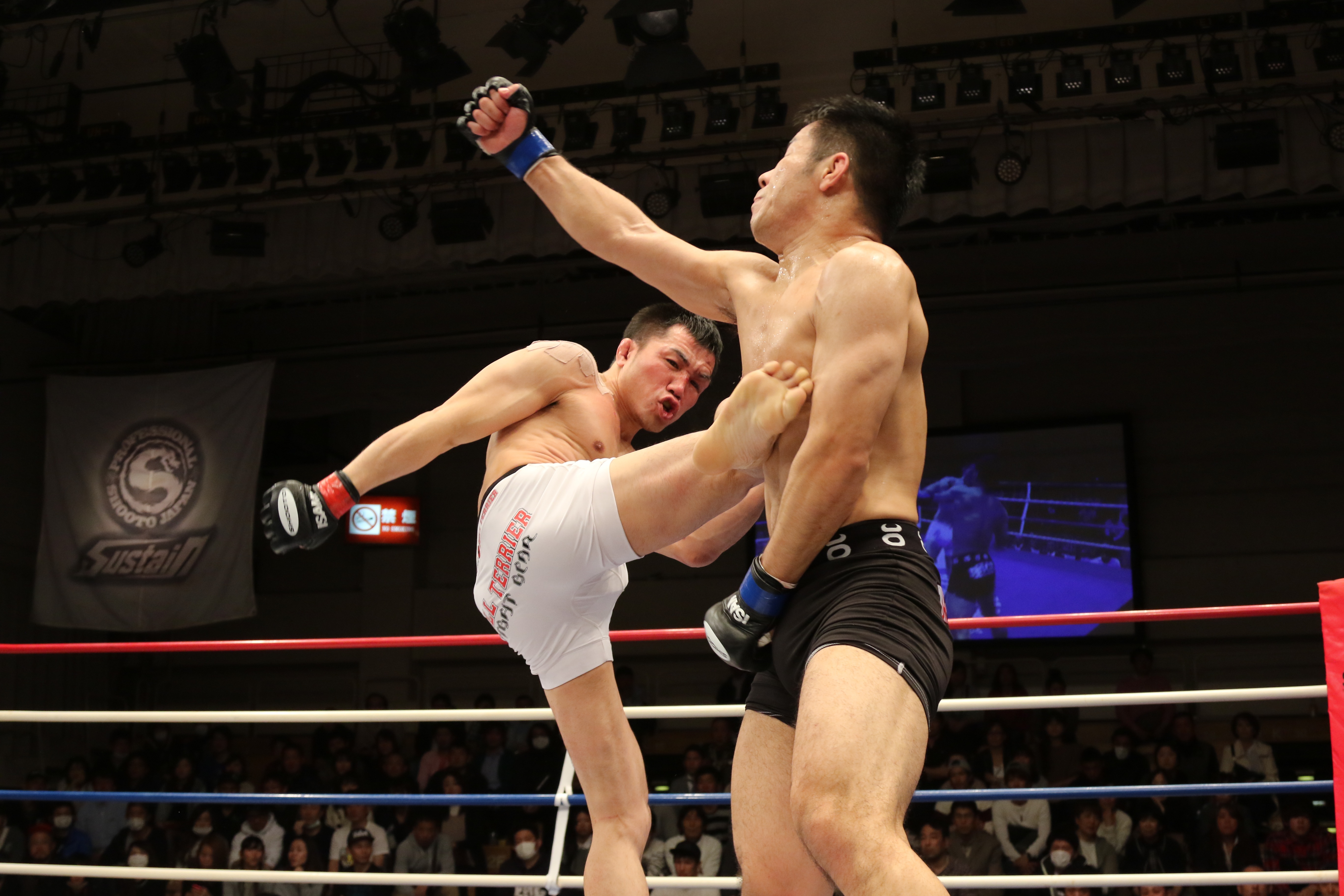 pancrase, healthy lifestyle, human body part, sports training, ring, exercising, wrestling, ultimate fighting championship, fist, kick, shooto, japan, cage, HD Wallpaper