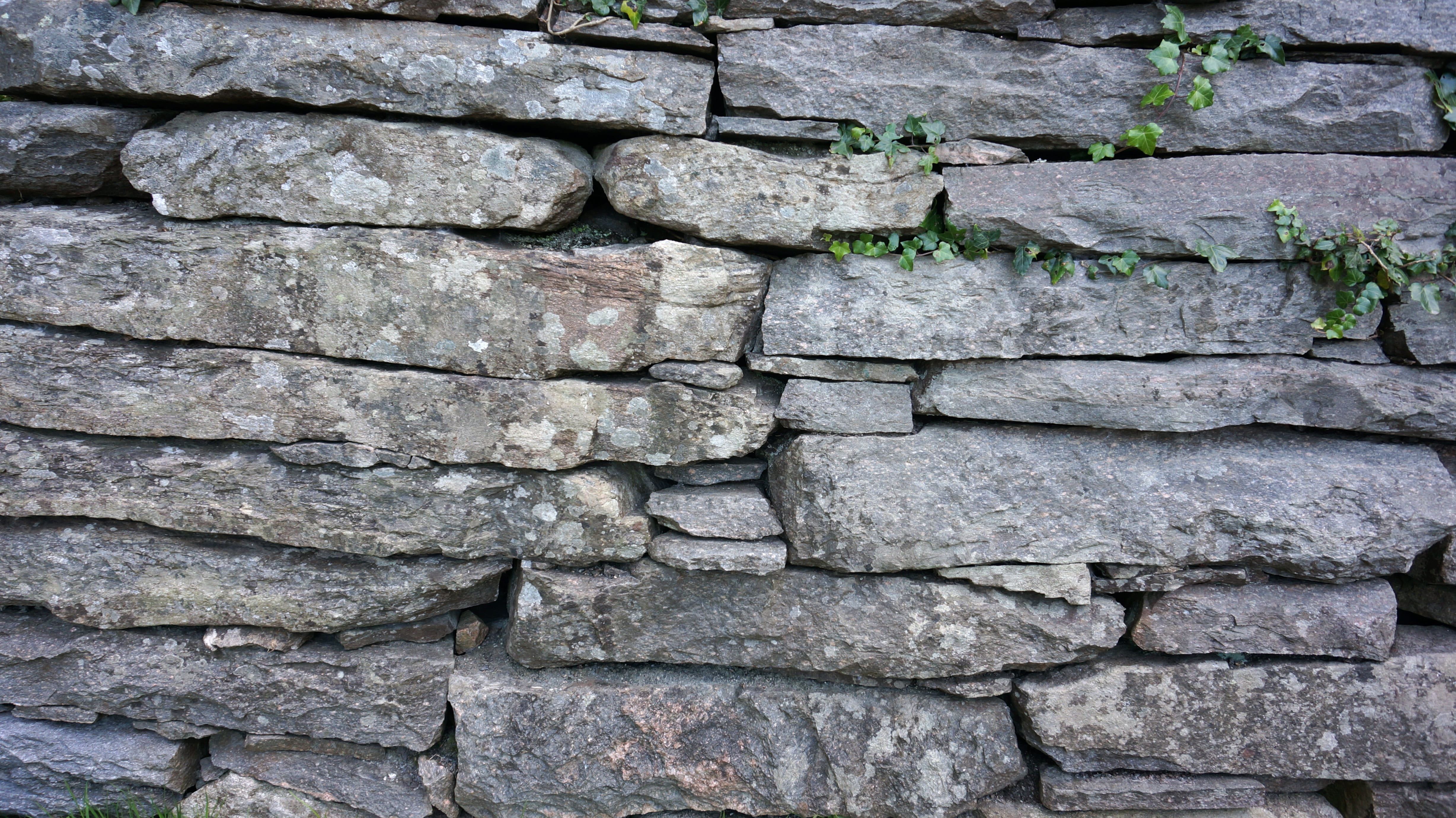 built structure, toughness, rough, no people, stone material, nature, grey, textured, pattern, close-up, wall - building feature, ivy, 4K, solid, old, HD Wallpaper
