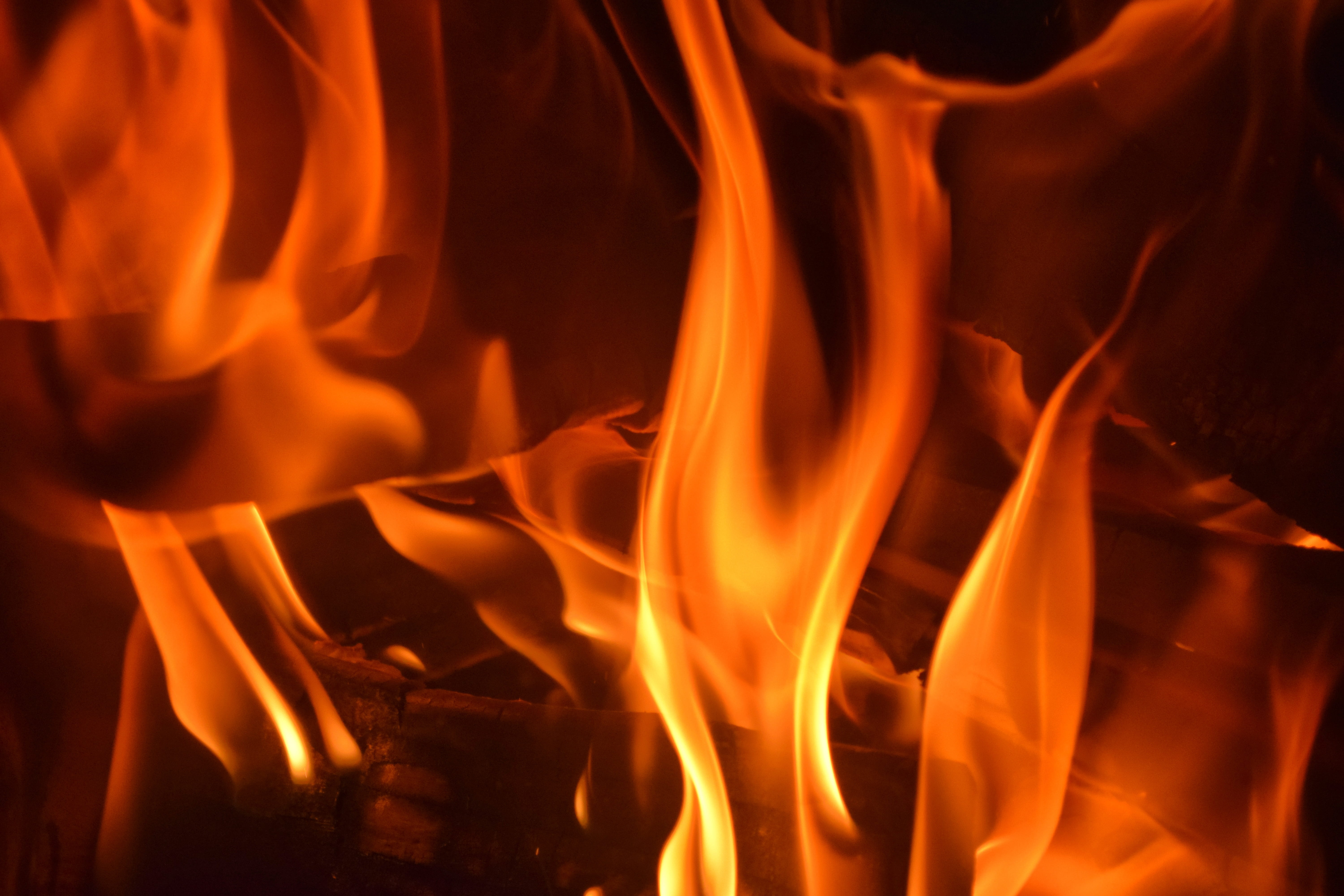 brand, orange color, heiss, fuel, motion, burn, fire, fire - natural phenomenon, inferno, 5K, wood - material, no people, oven, close, nature, wood fire, HD Wallpaper