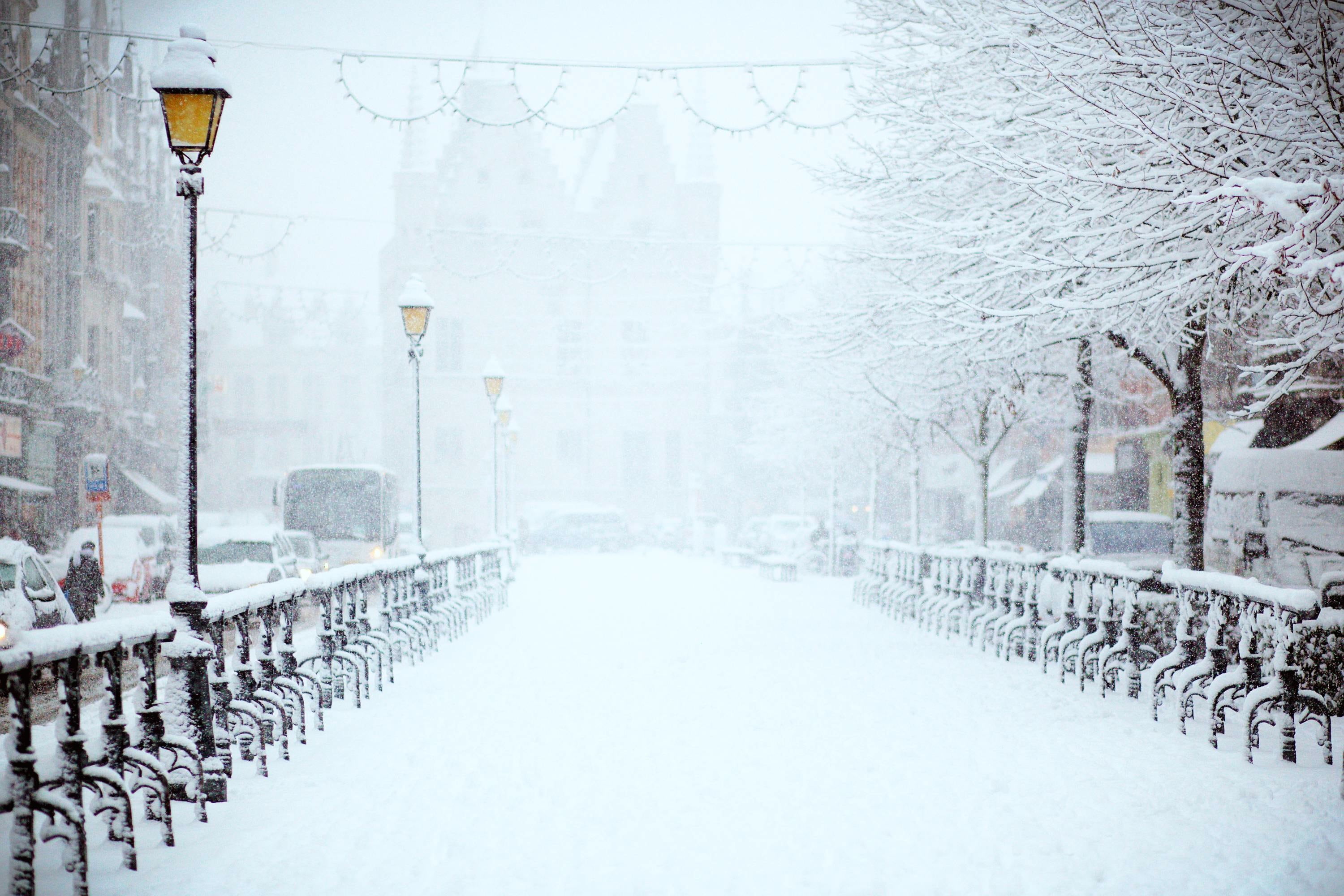 cold, bus, bridge, covering, tree, built structure, nature, blizzard, urban, weather, winter, near, city, transportation, extreme weather, frozen, no people, HD Wallpaper