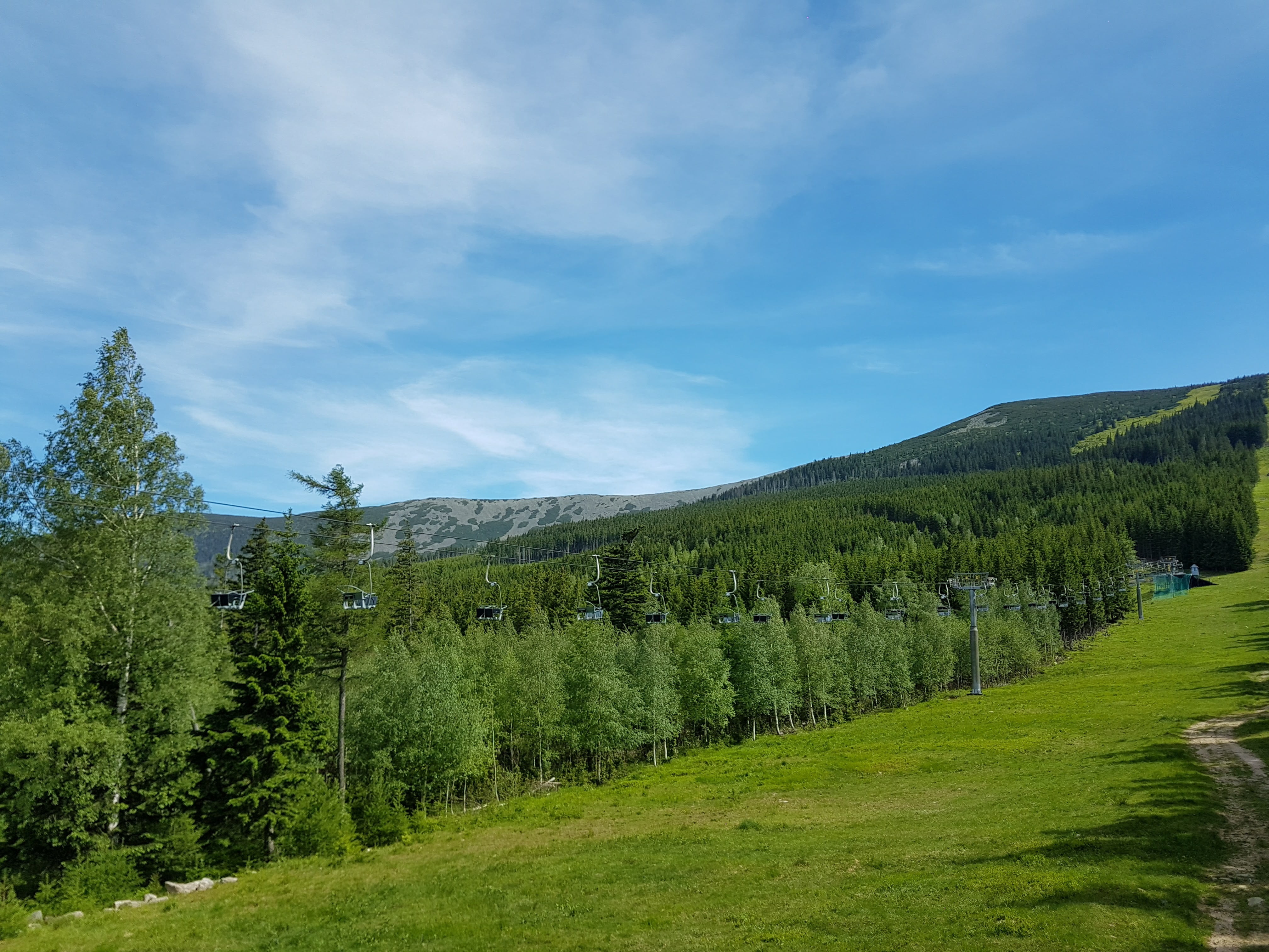 karpacz, coniferous, tranquil scene, extract, field, slope, environment, forest, sky, krkonoše giant mountains, land, scenics, scenics - nature, stok, pine, HD Wallpaper