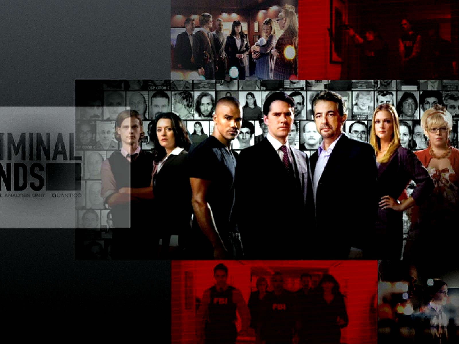 720P, drama, mystery, crime, criminal, minds, procedural, HD Wallpaper