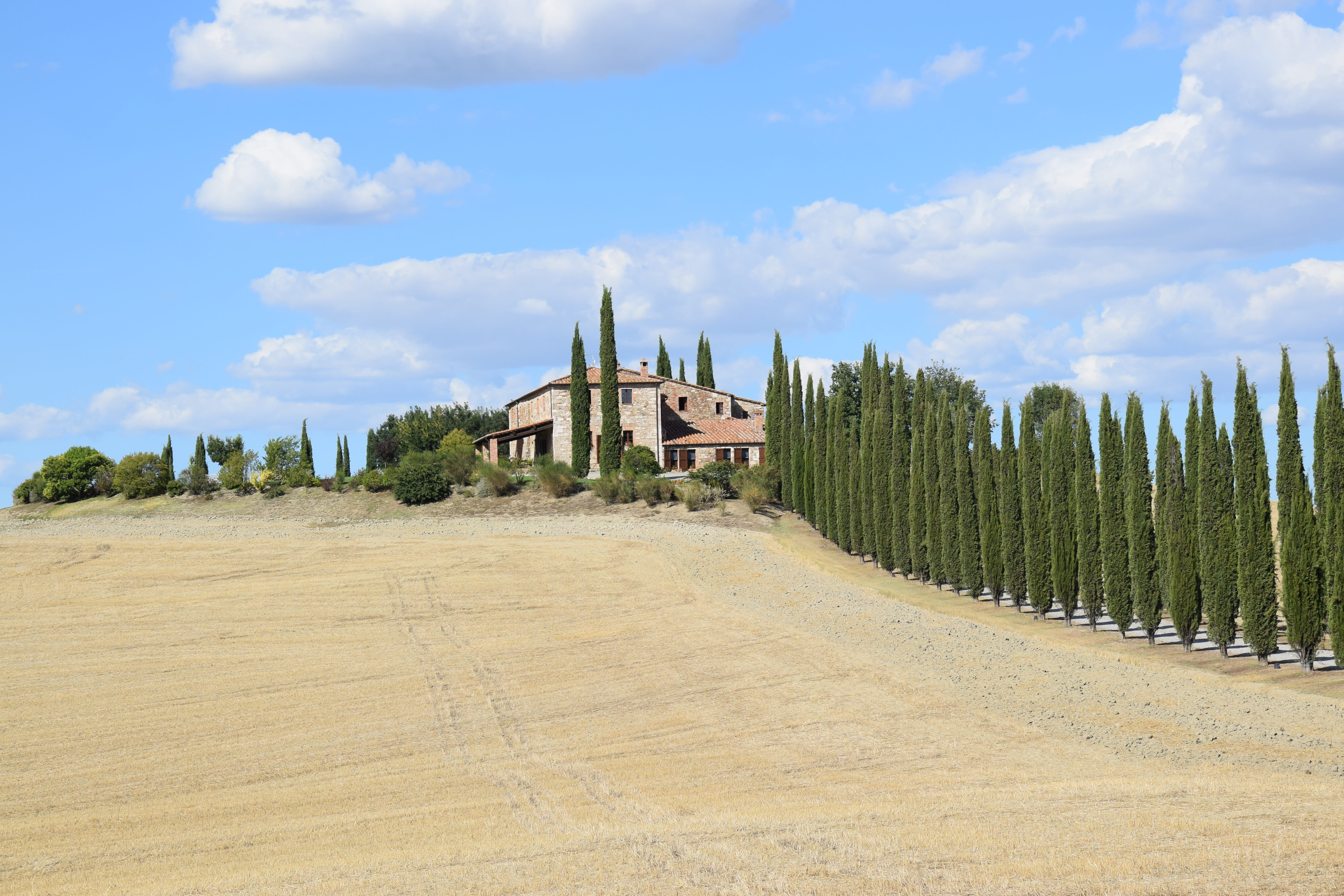 scenics - nature, cloud - sky, landscape, plant, trees, leafed, building, land, italy, field, cypress trees, tree, green, built structure, outdoors, tuscany, HD Wallpaper