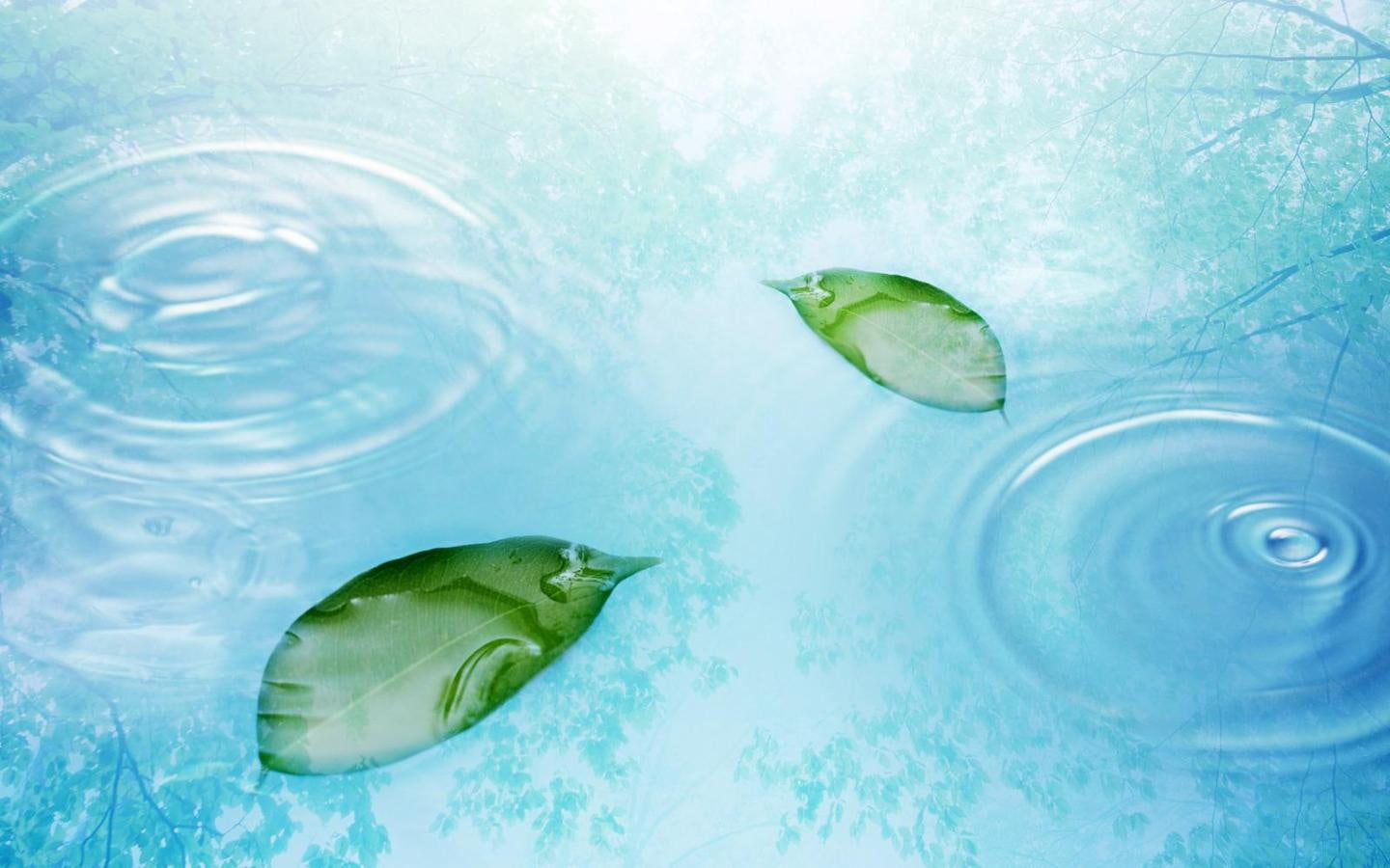 Blue, Leaf, image, 720P, leaves, hd, abstract, Cool, art, water, photography, HD Wallpaper