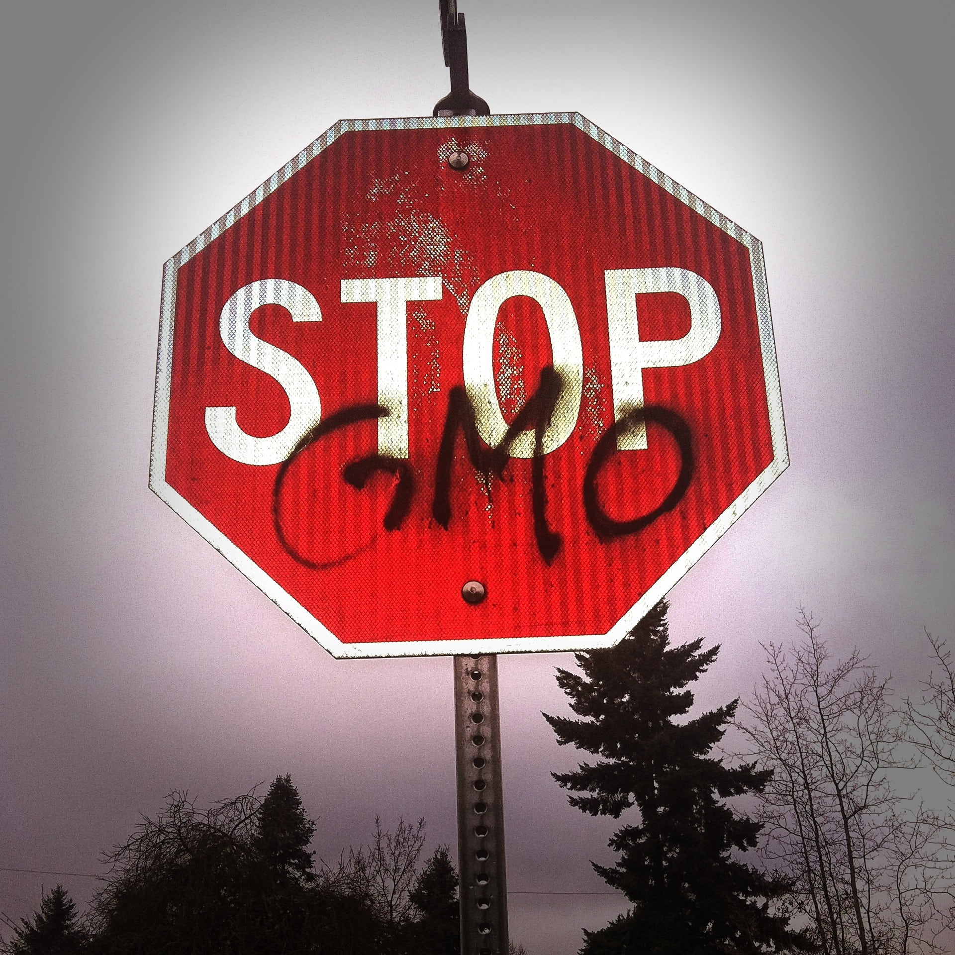 white, sign, warning, capital letter, day, close-up, organic, road sign, 1080P, low angle view, well, protester, legislation, tree, no people, photo, modification, Phone HD Wallpaper