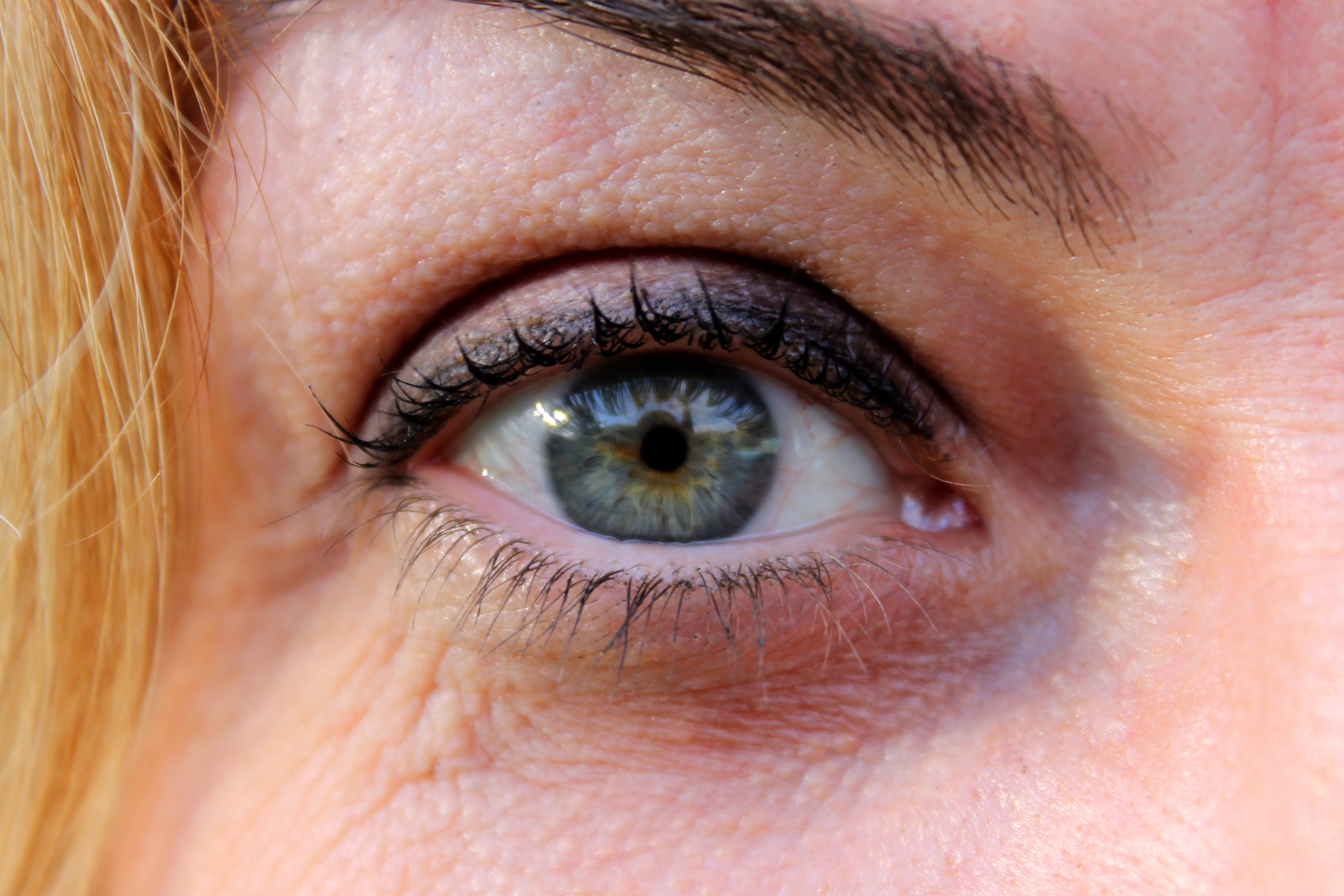body part, human Face, young adult, cilia, looking, 4K, one Person, eye, females, iris - Eye, extreme close-up, green eye, human Eye, eyesight, close-up, HD Wallpaper