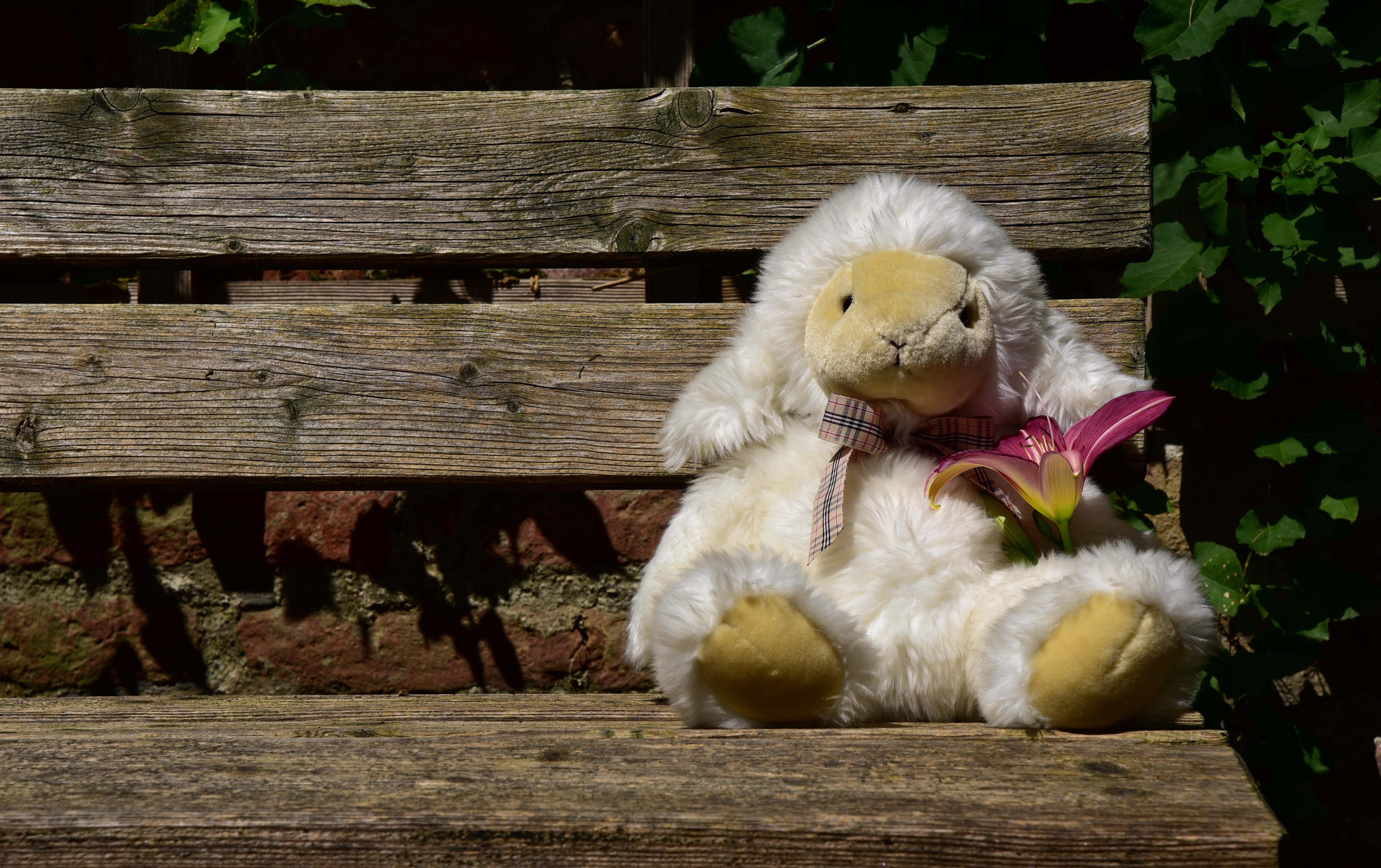 animal representation, wood - material, representation, space, bench, 5K, cute, relaxation, flower, wait, sheep, stuffed toy, animal themes, animal, empty space, HD Wallpaper