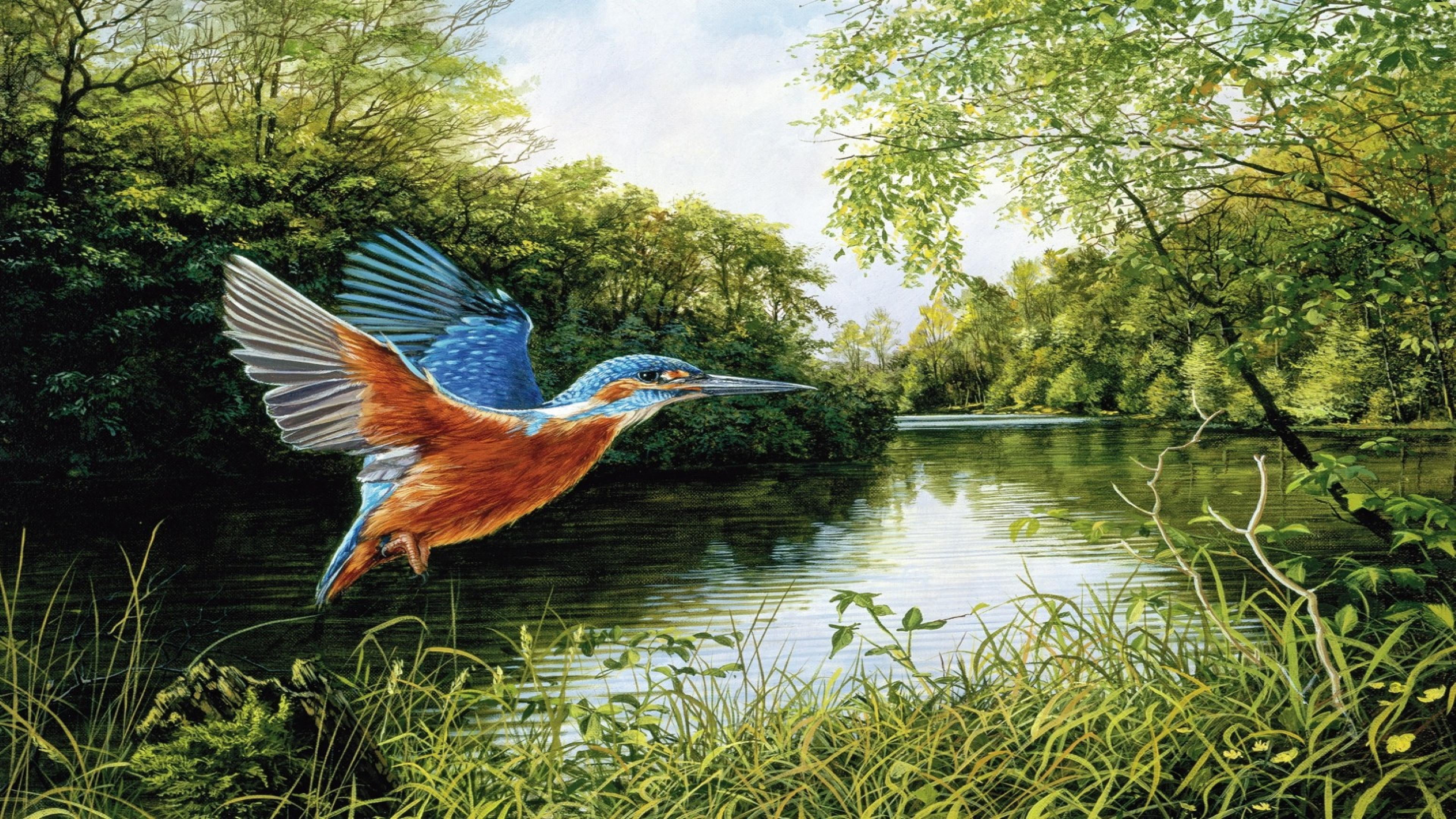 bird, kingfisher, hd, animal, grass, lake, trees, flying, tree, beauty in nature, river, animal themes, flight, no people, day, spread wings, HD Wallpaper