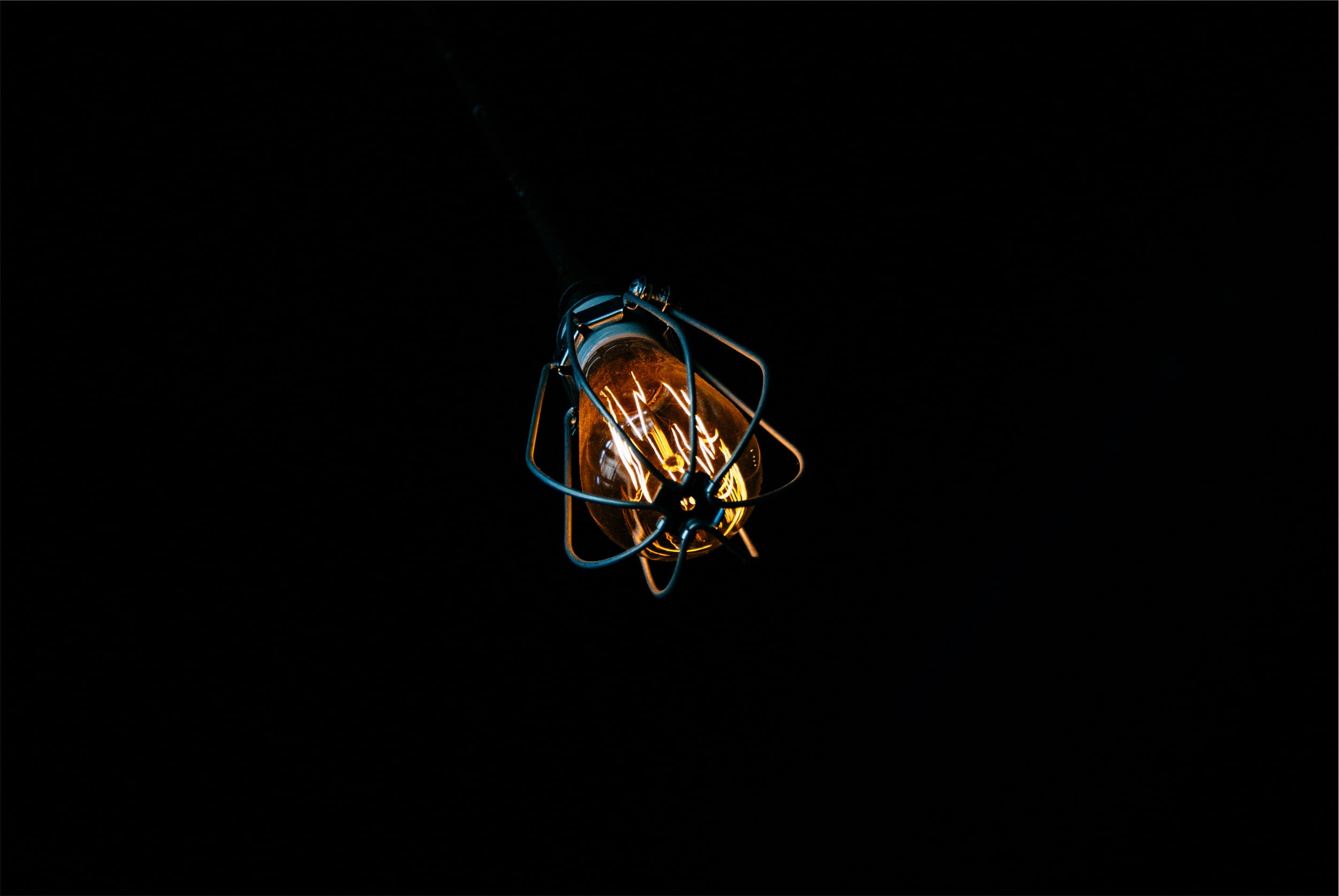 animal wildlife, insect, dark, copy space, hanging, animals in the wild, animal themes, lapse, trouble, animal, nature, electricity, illuminated, night, HD Wallpaper