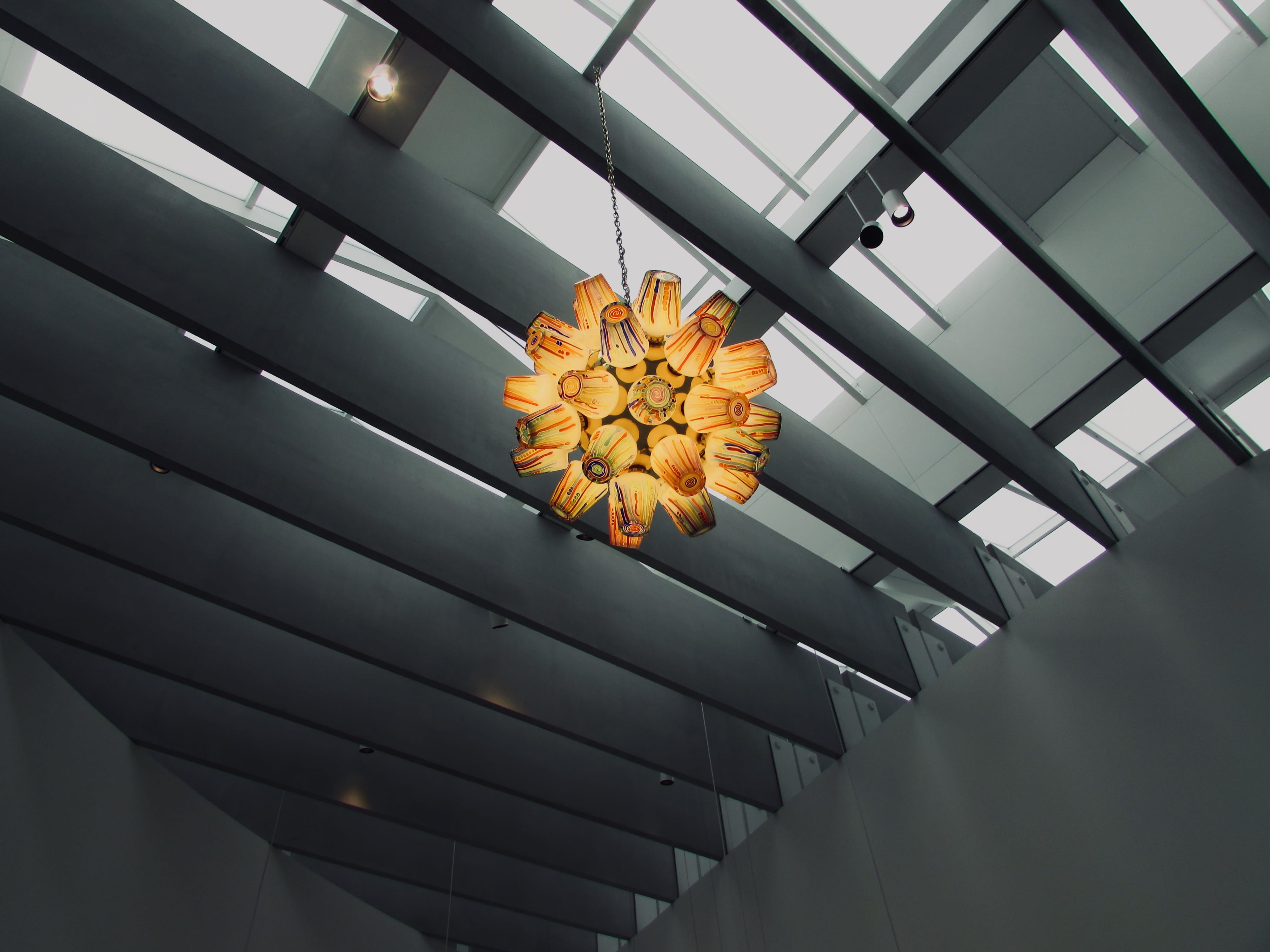 skylight, lamp, ceiling, pattern, blossom, building, no people, growth, interior, architecture, low angle view, flora, convention center, window, beauty in nature, HD Wallpaper
