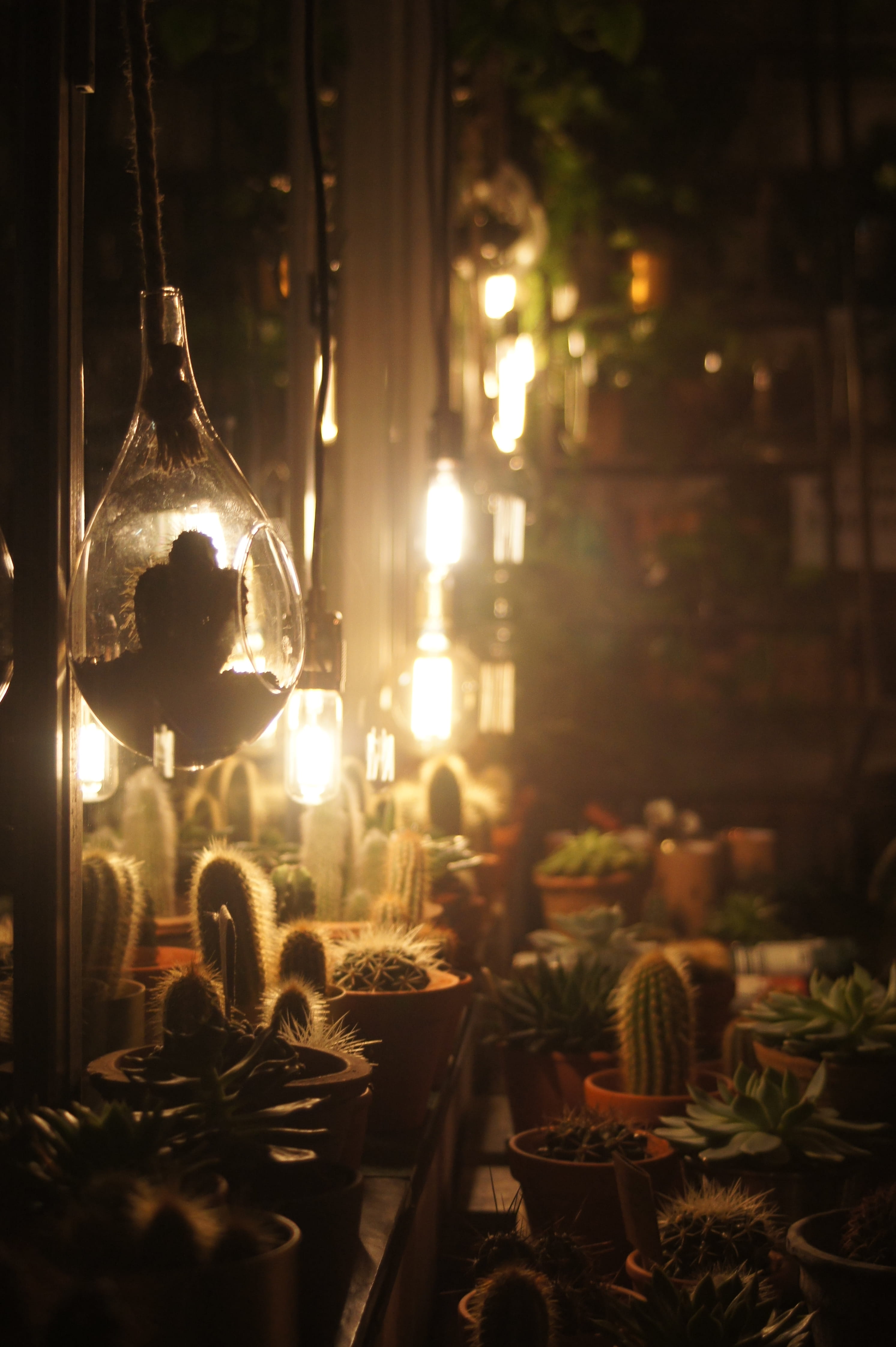 home, lighting equipment, 4K, close-up, düsseldorf, indoors, bulbs, christmas ornament, homegarden, garden, no people, tree, home decor, decor, christmas decoration, Phone HD Wallpaper