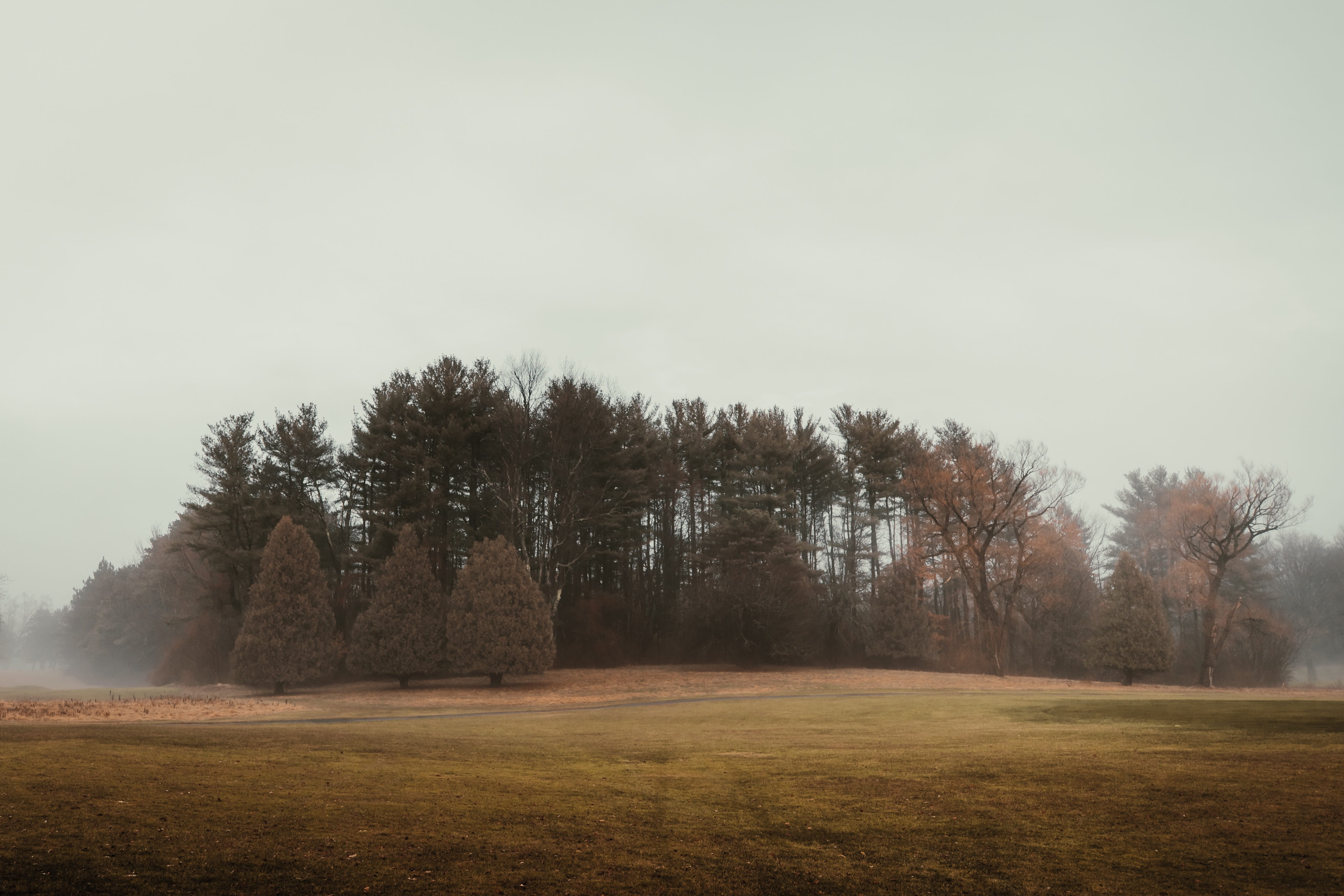 copy space, land, rexford, field, tower, beauty in nature, grassland, conifer, nature, landscape, 4K, scenics - nature, fog, united states, tree, tranquil scene, HD Wallpaper