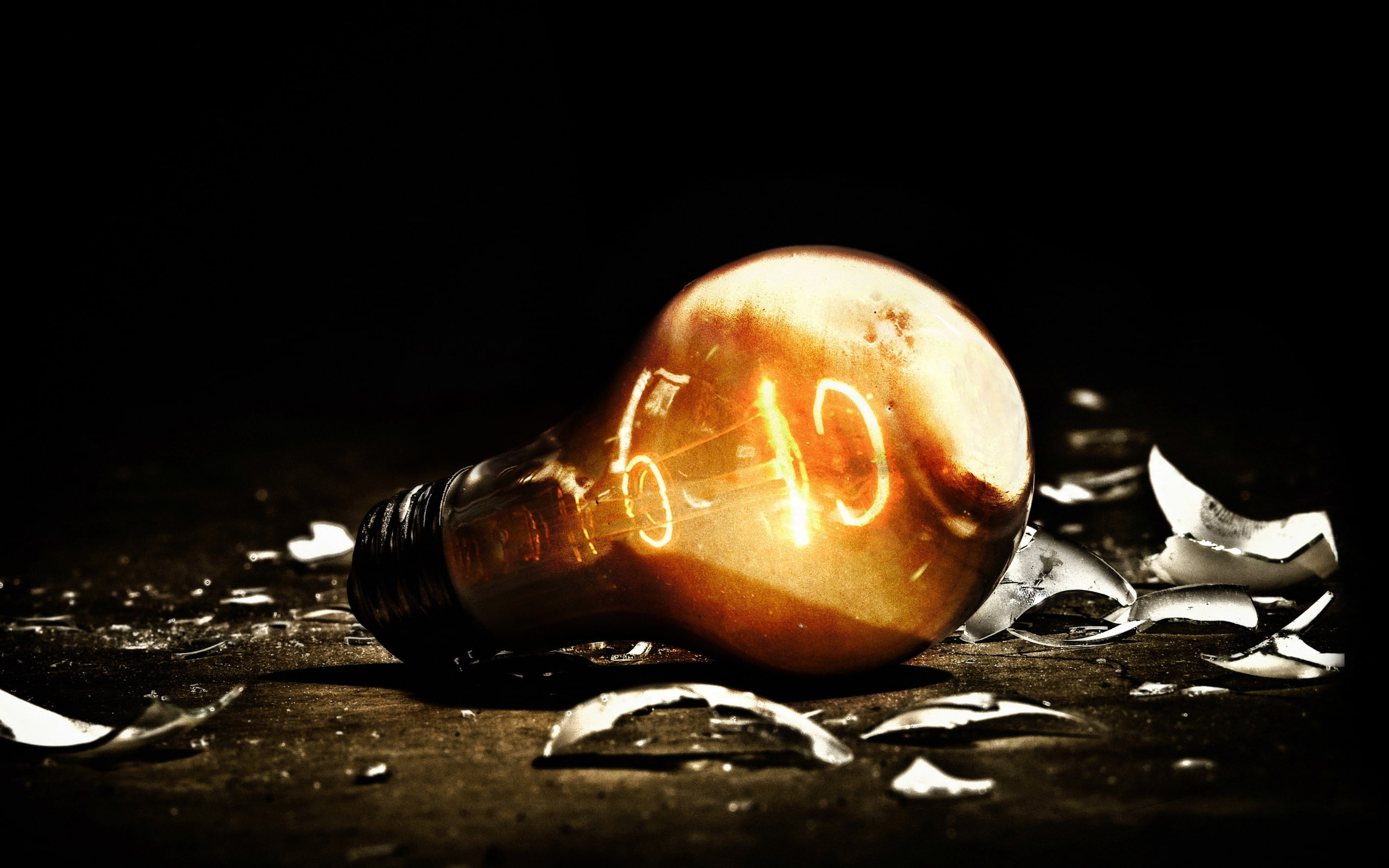 lit, bulb, light, 2K, background, HD Wallpaper