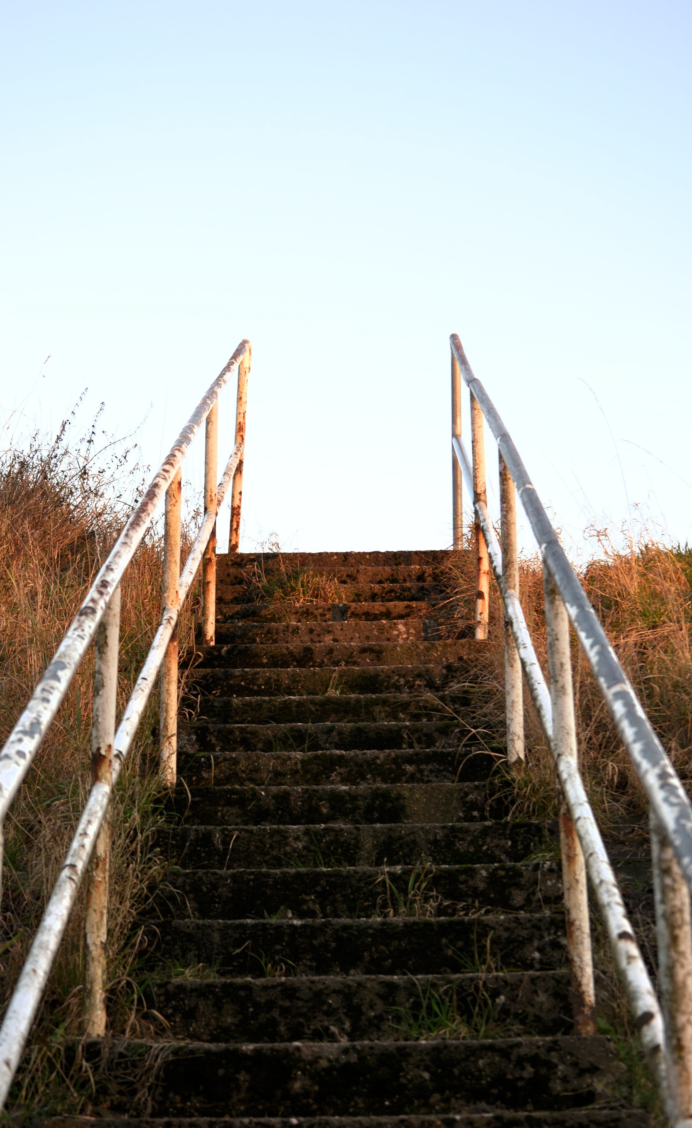 high, wood, clear sky, head, built structure, level, staircase, blue, the way forward, ascent, nature, outdoors, metal, sky, rots, leadership, 4K, stairs, Phone HD Wallpaper