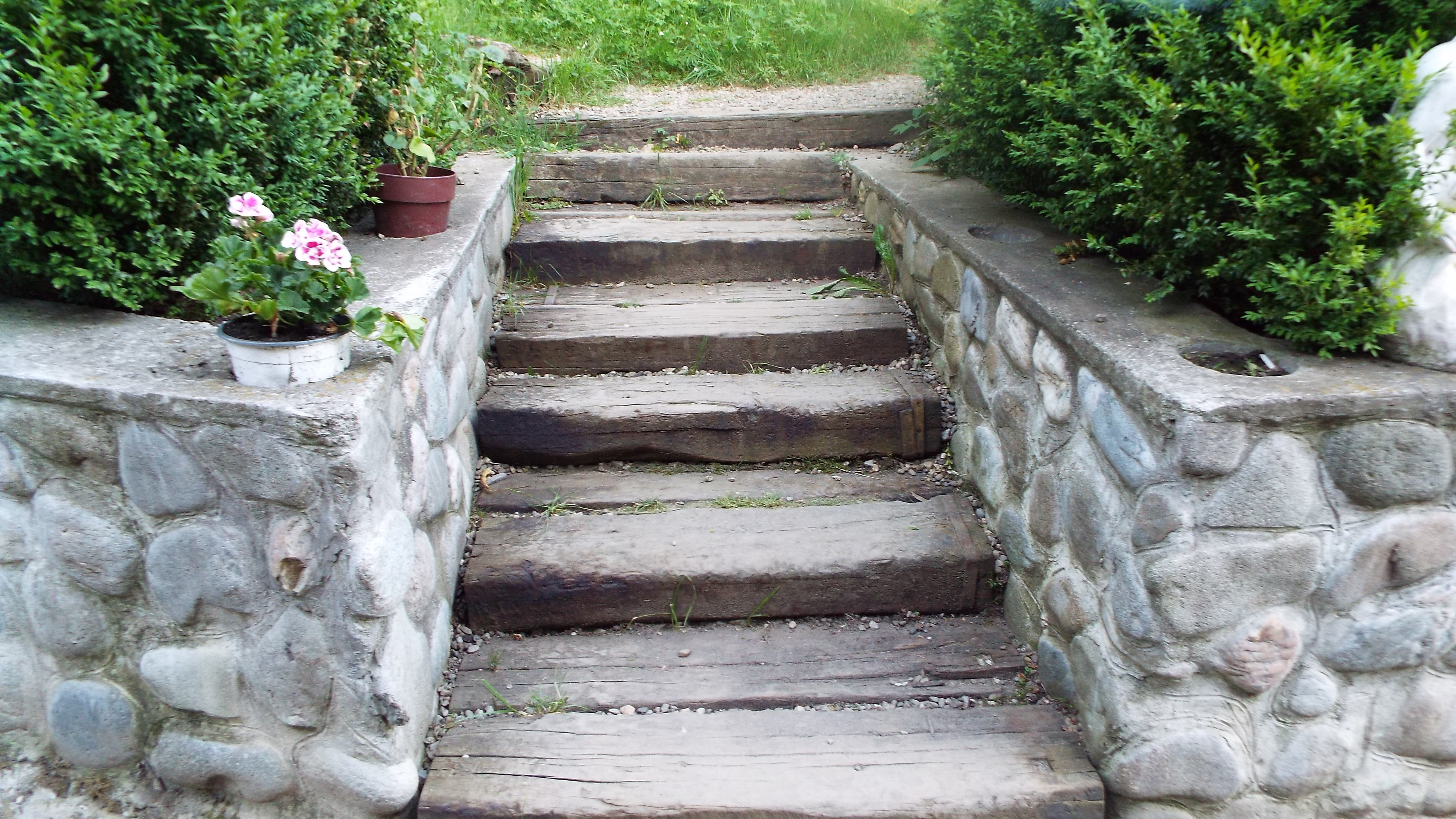 growth, climb, green color, stone material, direction, speed, romans, potted plant, railing, stone wall, solid, tree, stairs, no people, plant, stone, architecture, HD Wallpaper