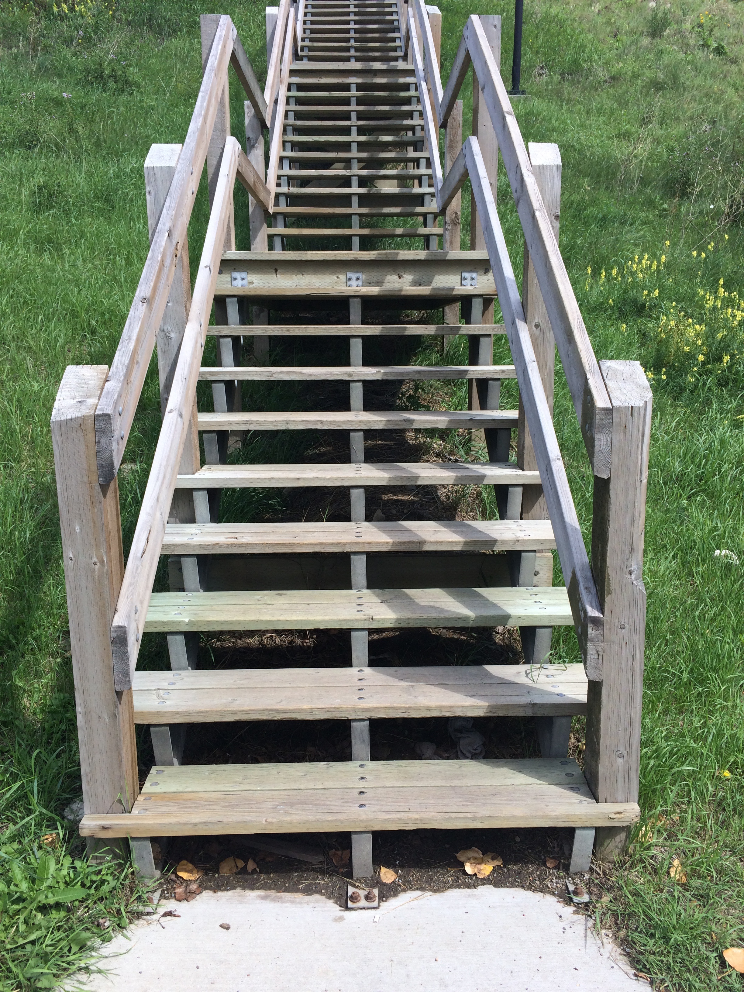 climbing, outdoors, the way forward, empty, grass, railing, staircase, park bench, ladder, built structure, 2K, park, nature, plant, outdoor, wood - material, Phone HD Wallpaper