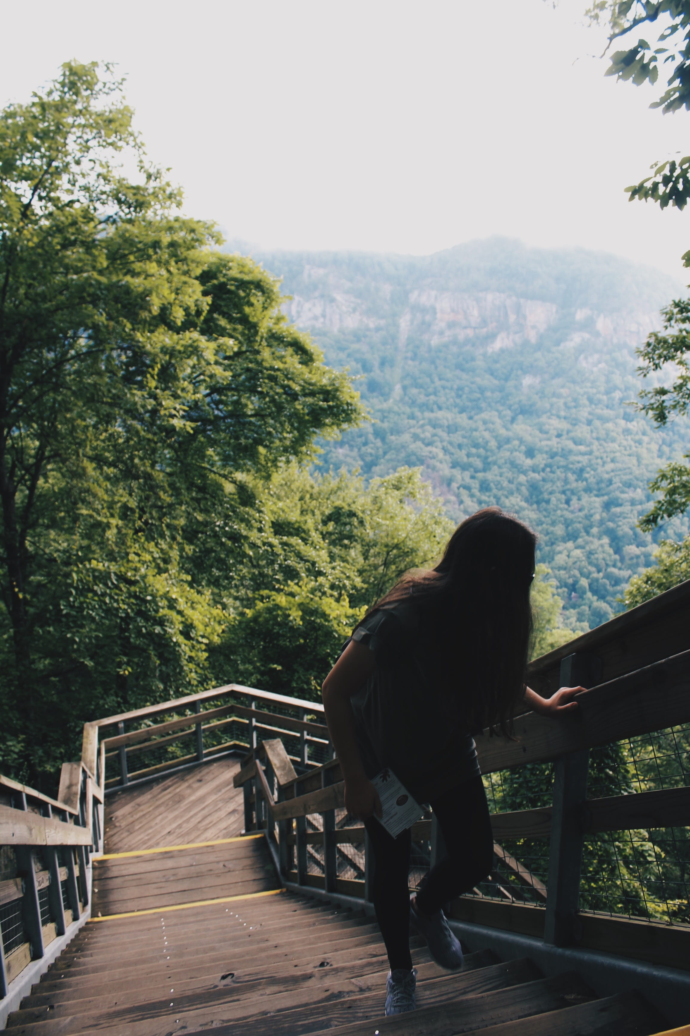 lifestyles, hike, hiking, real people, moutains, earth, adult, plant, 2K, trees, architecture, rear view, growth, stairs, tree, outdoors, day, railing, Phone HD Wallpaper