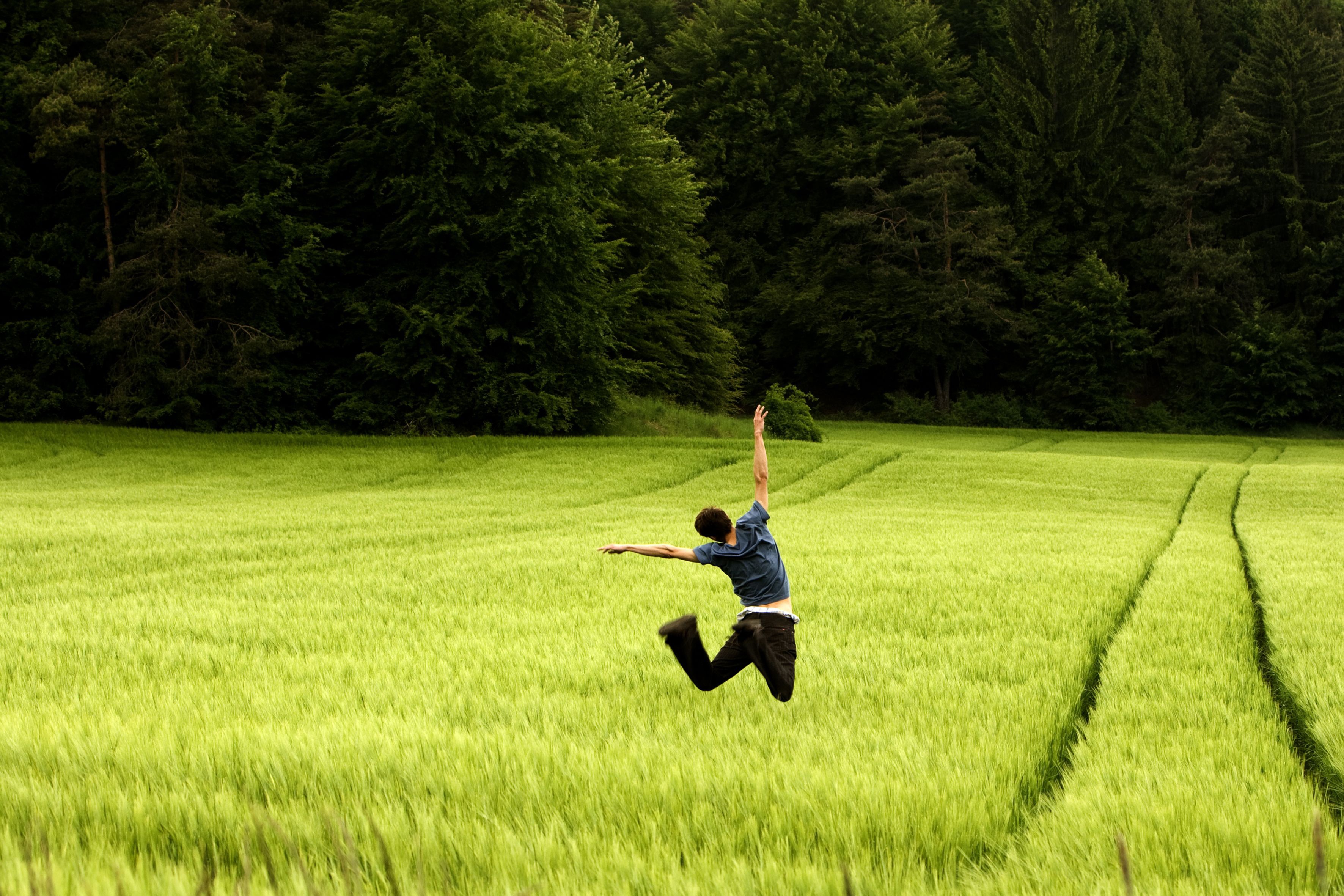 juicy, luck, one person, daytime, lifestyles, jump, field, full length, forest, sport, growth, dom, shirts, wears, tree, person, grass, leisure activity, HD Wallpaper