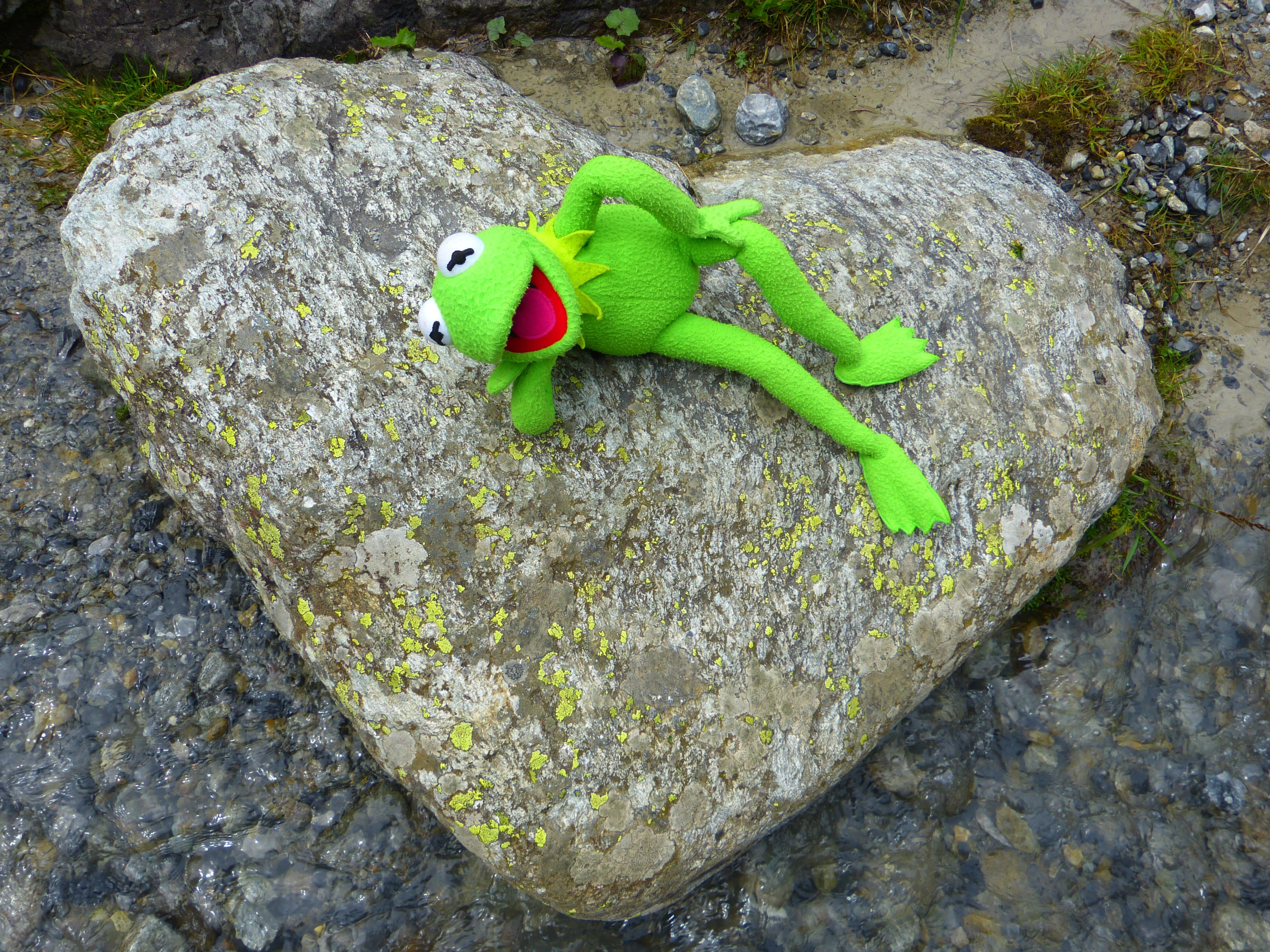 stone heart, textured, close-up, stone, reptile, animals in the wild, animal, amphibian, no people, one animal, animal wildlife, solid, outdoors, green color, HD Wallpaper