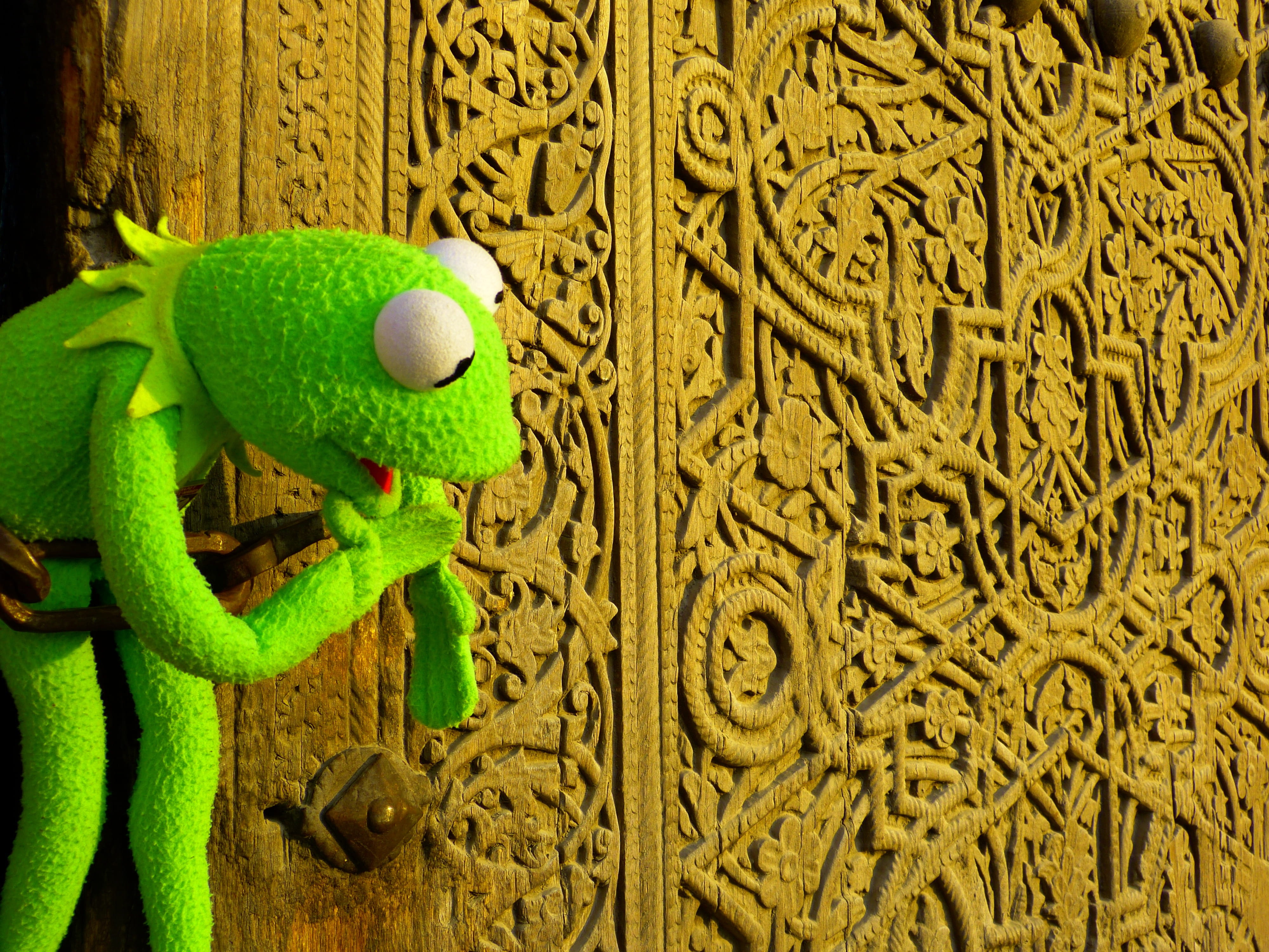 representation, high angle view, pattern, Carving, animal, Arts Crafts, plush, frog, Wood, textile, 4K, close-up, toy, arts and crafts, craft, look, stuffed toy, HD Wallpaper
