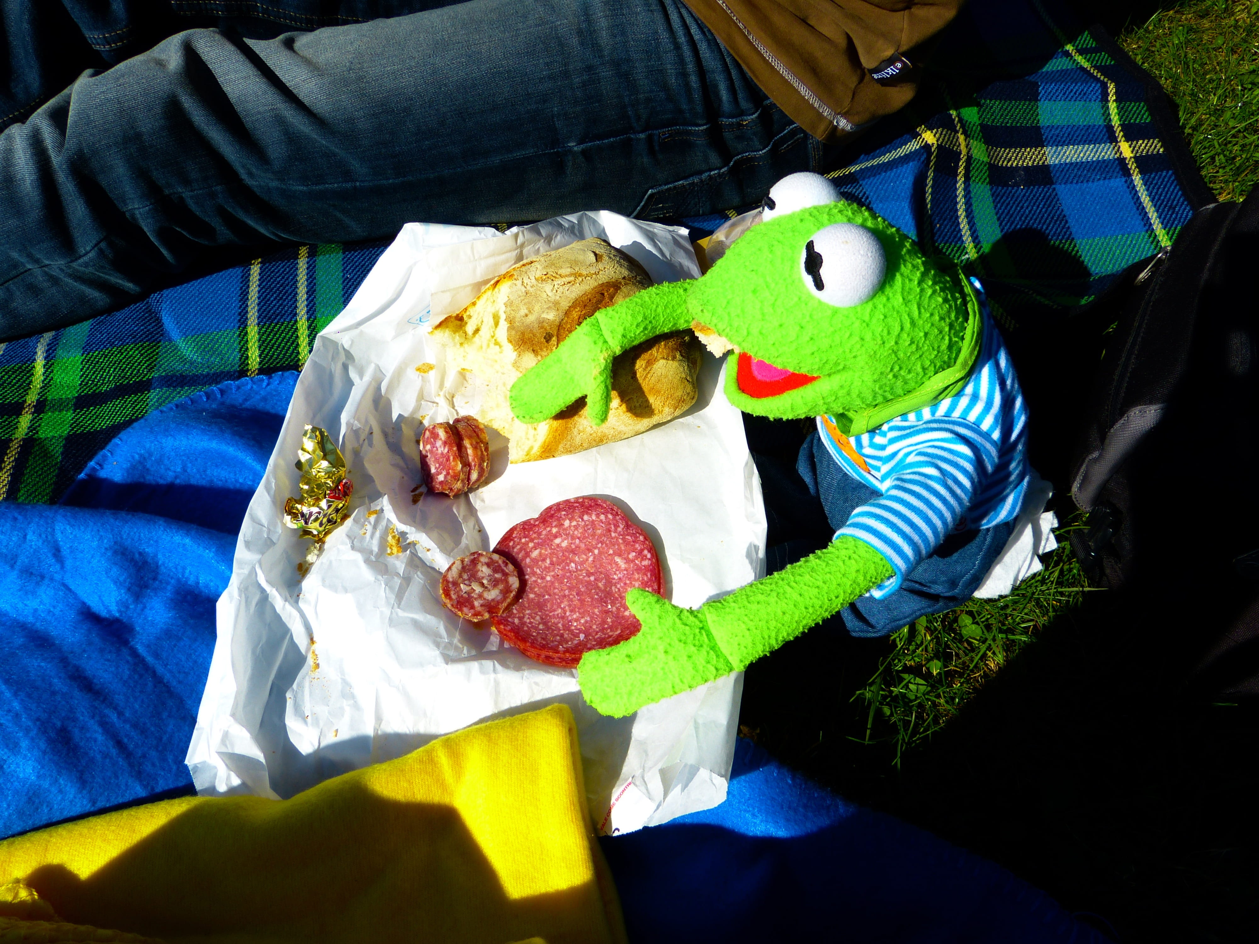 toy, people, textile, bread, delicious, 4K, green, day, one person, high angle view, Kermit, representation, casual clothing, Picnic, lifestyles, sausage, HD Wallpaper