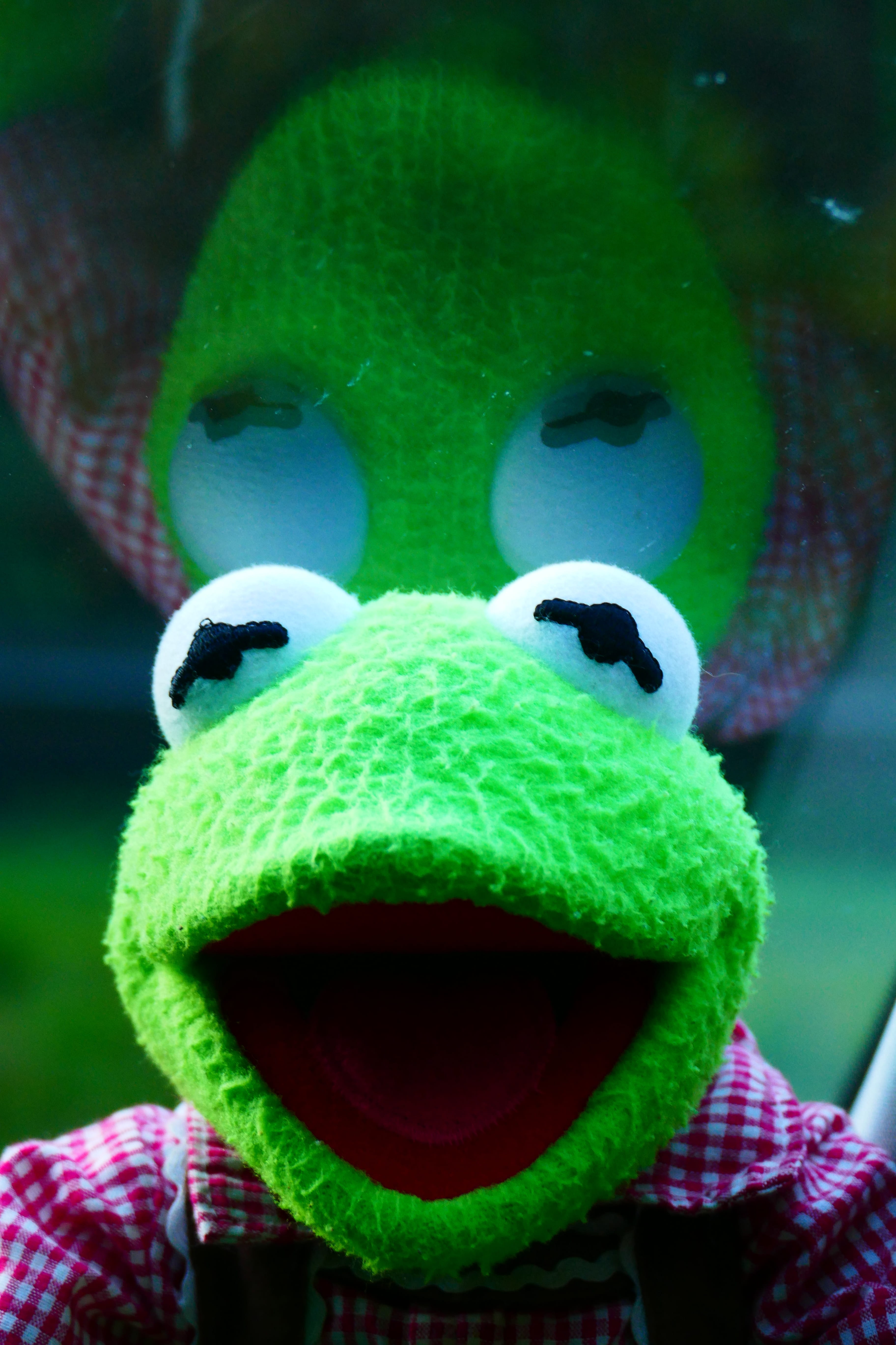 5K, toy, focus on foreground, representation, Kermit, outdoors, vertebrate, art and craft, mammal, Doll, one animal, animal themes, portrait, day, green, Phone HD Wallpaper