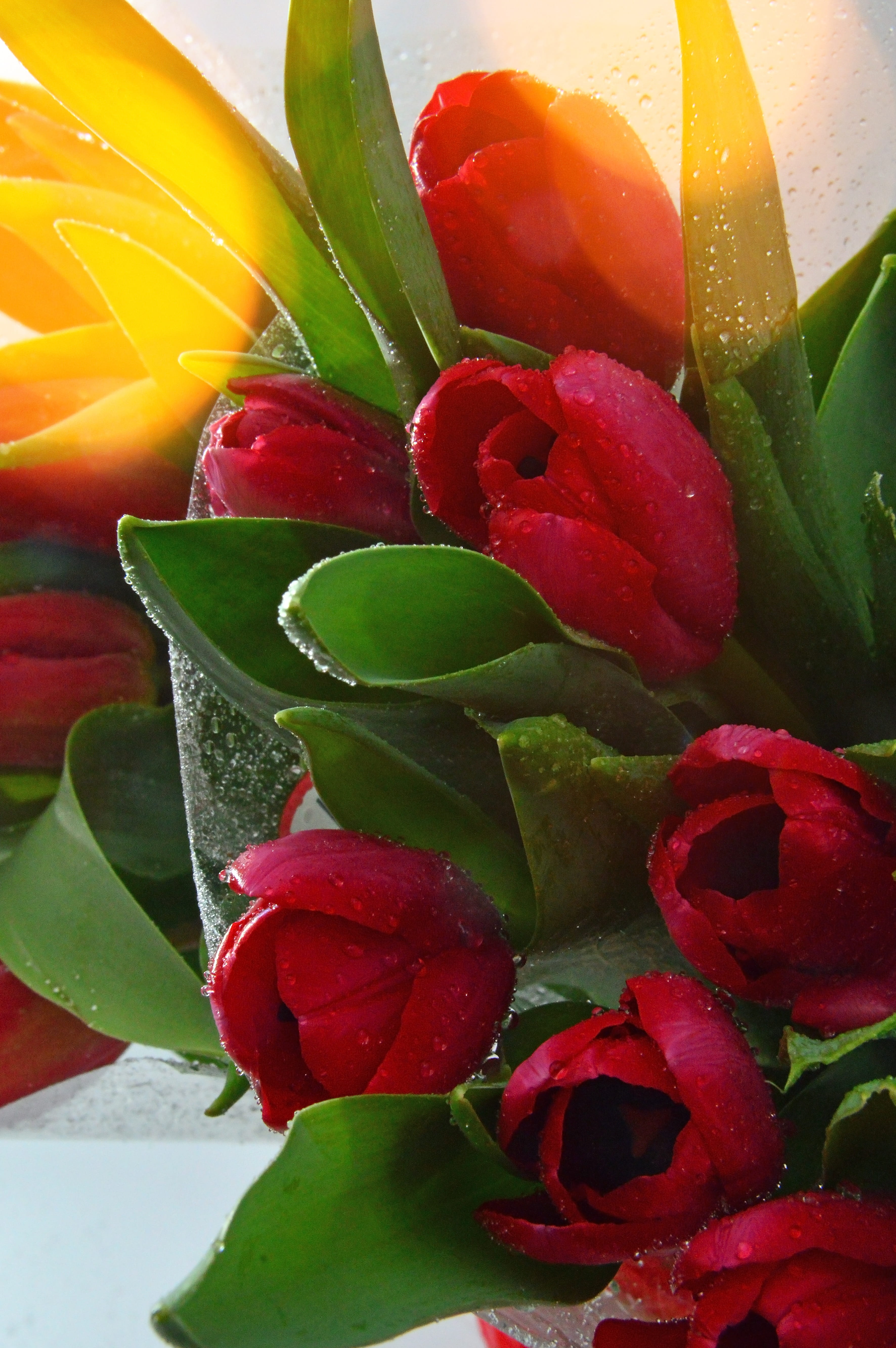 choice, no people, díszcsokor, mothers day is, multi colored, food, womens day, tulip, food and drink, style, plant part, petal, bunch of flowers, beauty in nature, Phone HD Wallpaper