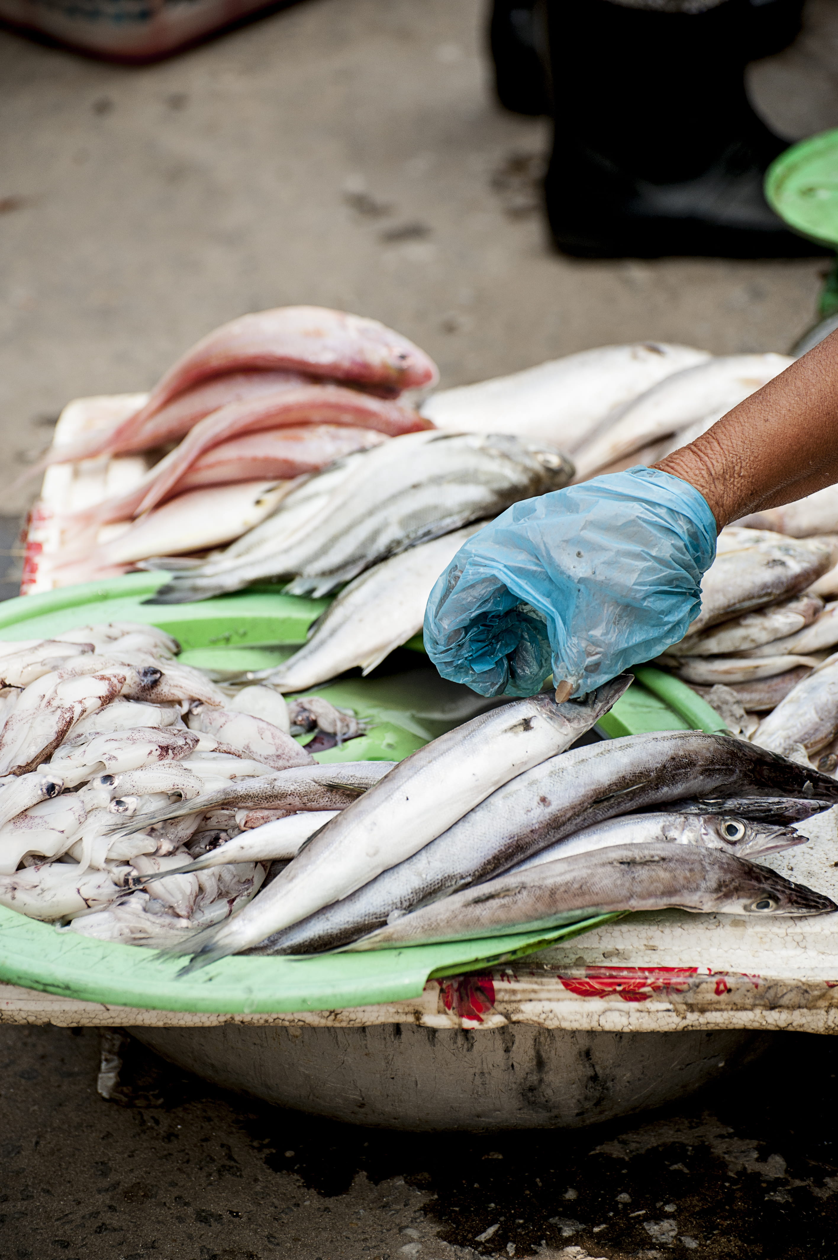 fishmonger, seafood, person, blue, cellophane, hand, market, vietnam, wellbeing, dead, raw food, day, plastic, bag, table, human body part, wearing, fish, Phone HD Wallpaper