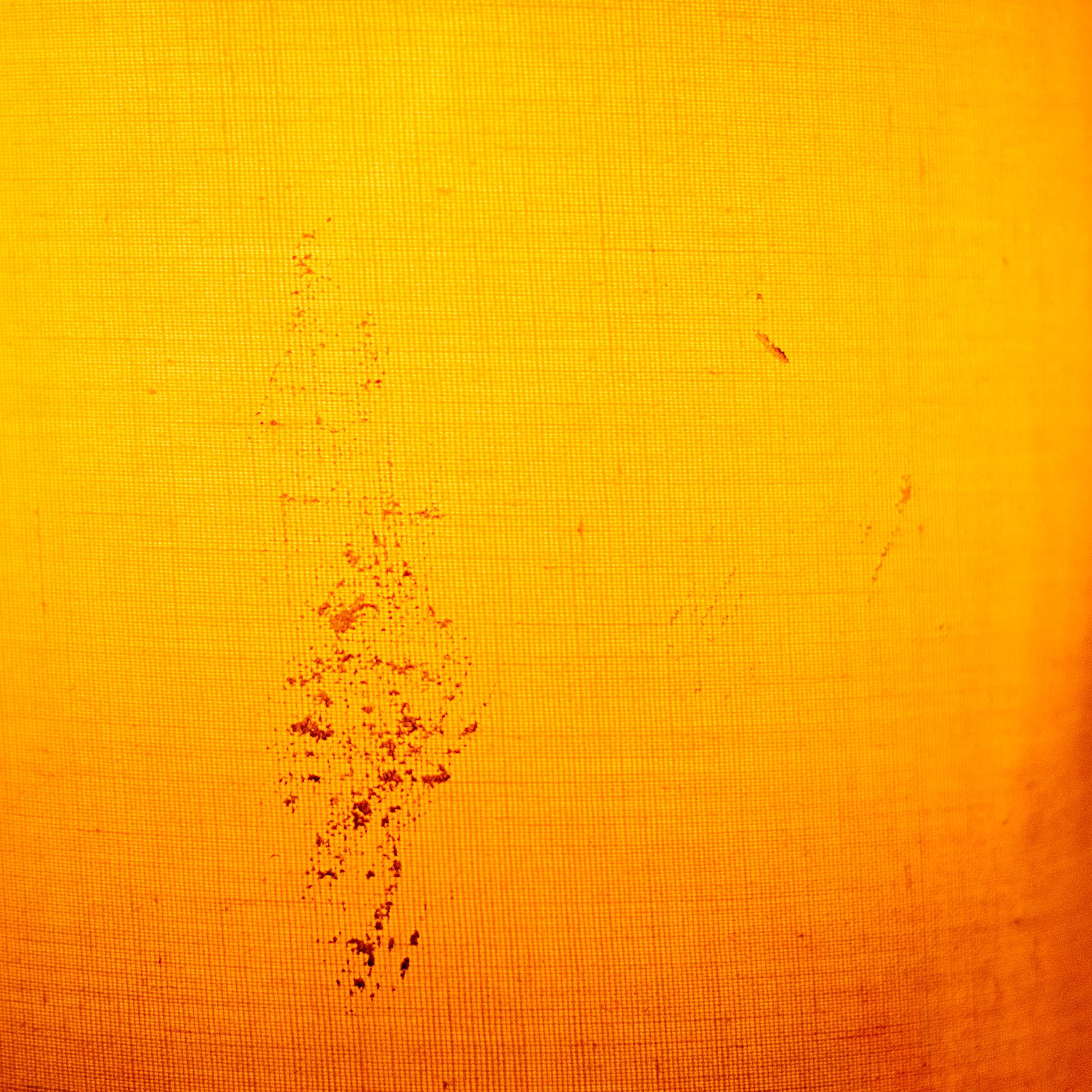 backgrounds, light, orange color, grungy, food and drink, nature, abstract, indoors, shape, lampshade, blot, close-up, animal, copy space, animal themes, Phone HD Wallpaper