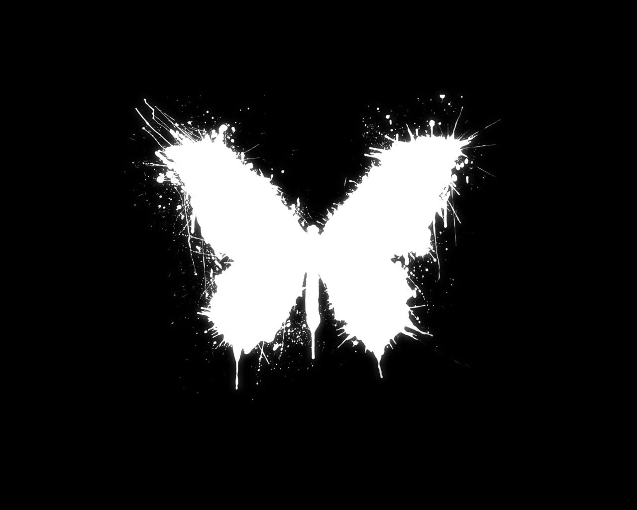 plant, symbol, black Background, number, night, clip, backgrounds, blot, the accident, copy space, outdoors, text, paint, black Color, illuminated, pattern, HD Wallpaper