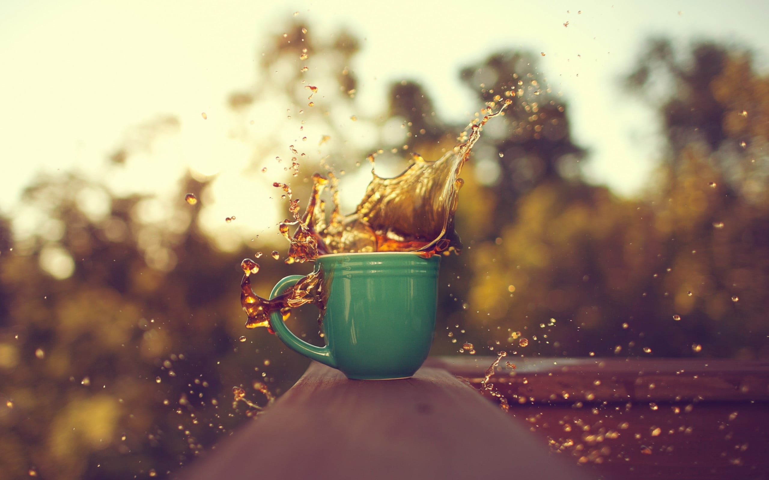 focus on foreground, liquid, coffee, human hand, plant, splashes, depth of field, close-up, refreshment, 2K, human body part, sunlight, tea cup, selective focus, HD Wallpaper
