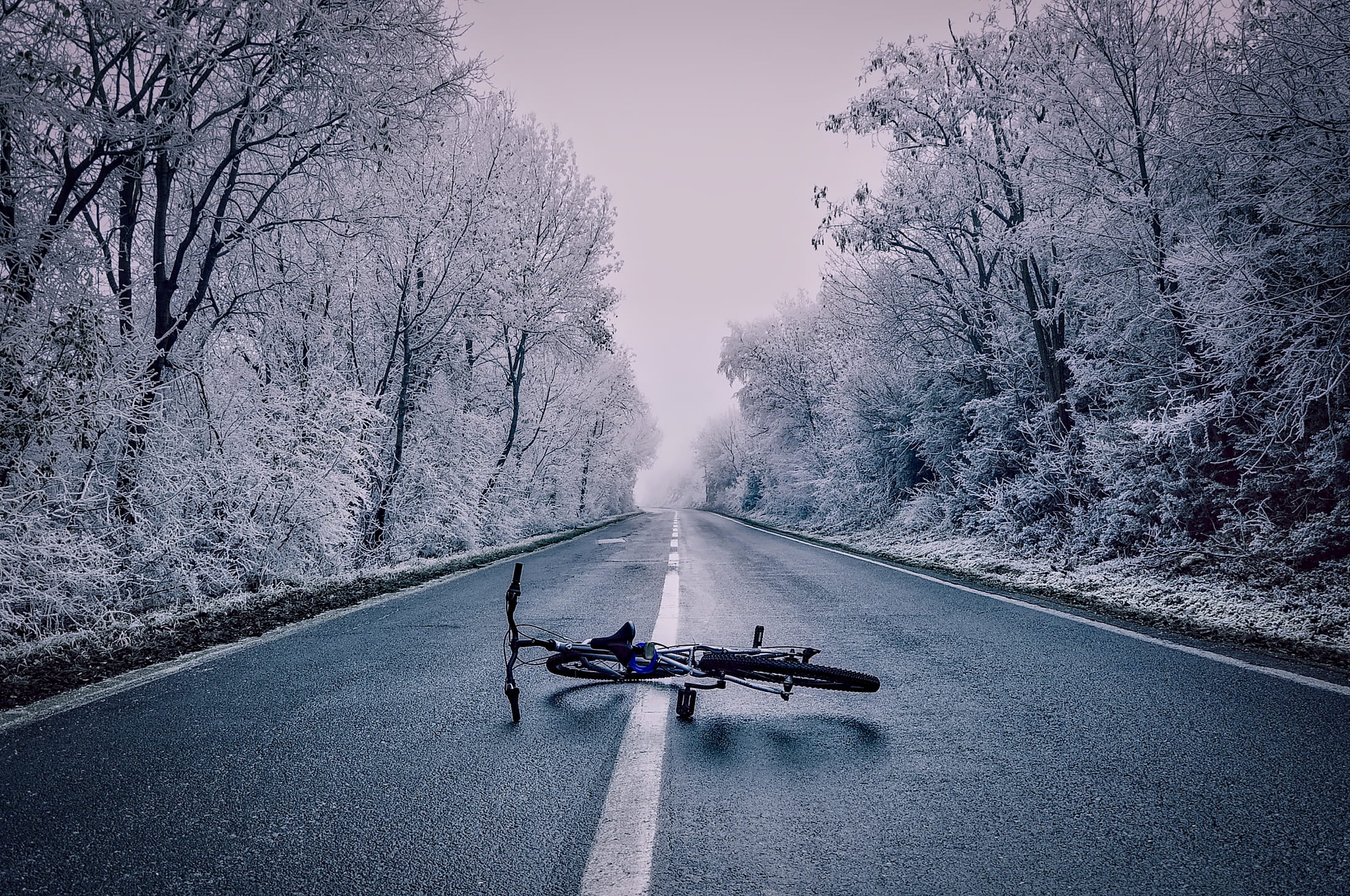 country, direction, mode of transportation, lying, woods, day, beauty in nature, photo, bare tree, tree, forest, plant, macedonia, frost, surrounded, upset, HD Wallpaper