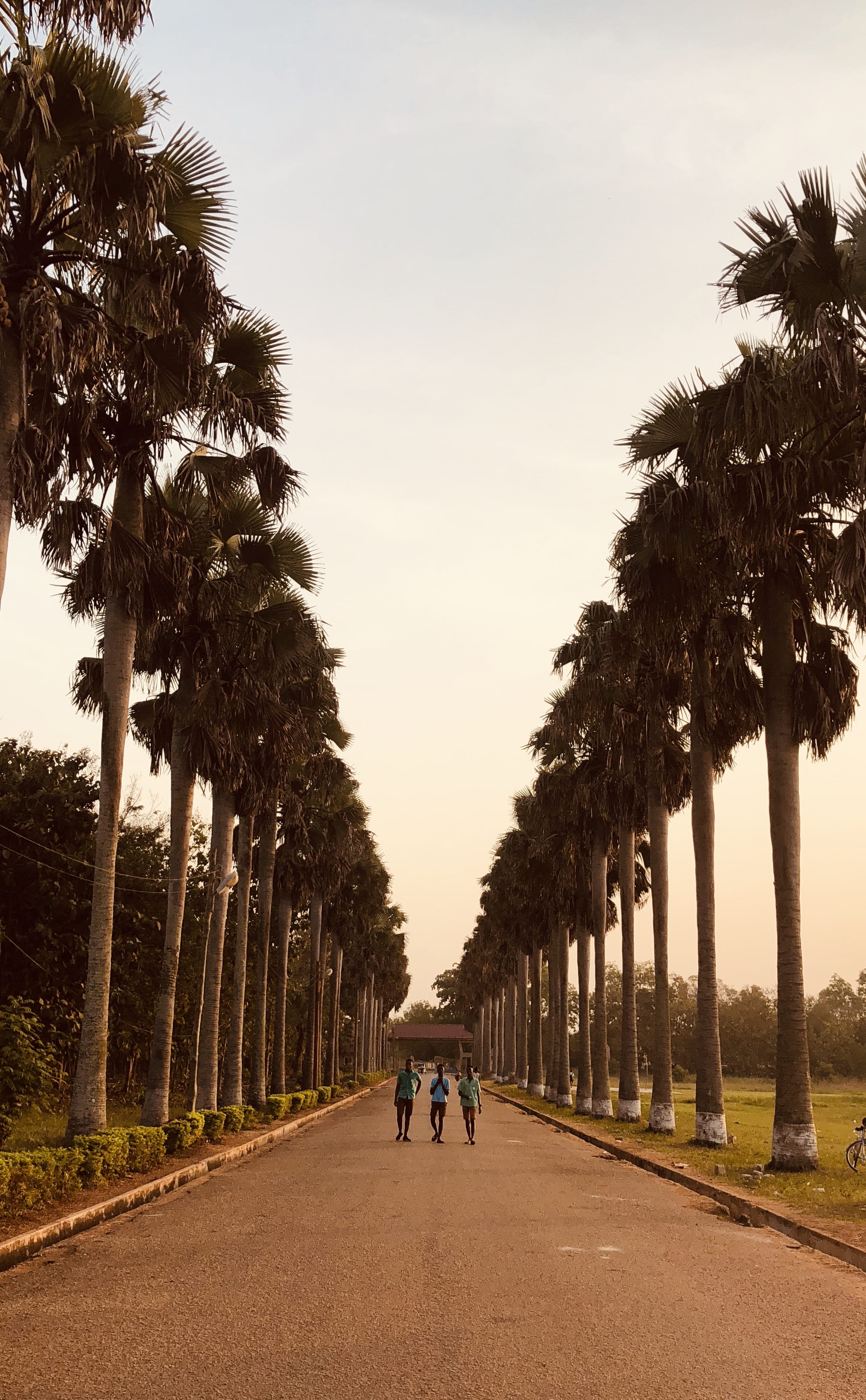 lifestyles, person, walkway, outdoors, transportation, garden, arbour, men, asphalt, 2K, dormaa ahenkro, tree, ghana, road, tropical climate, two people, Phone HD Wallpaper