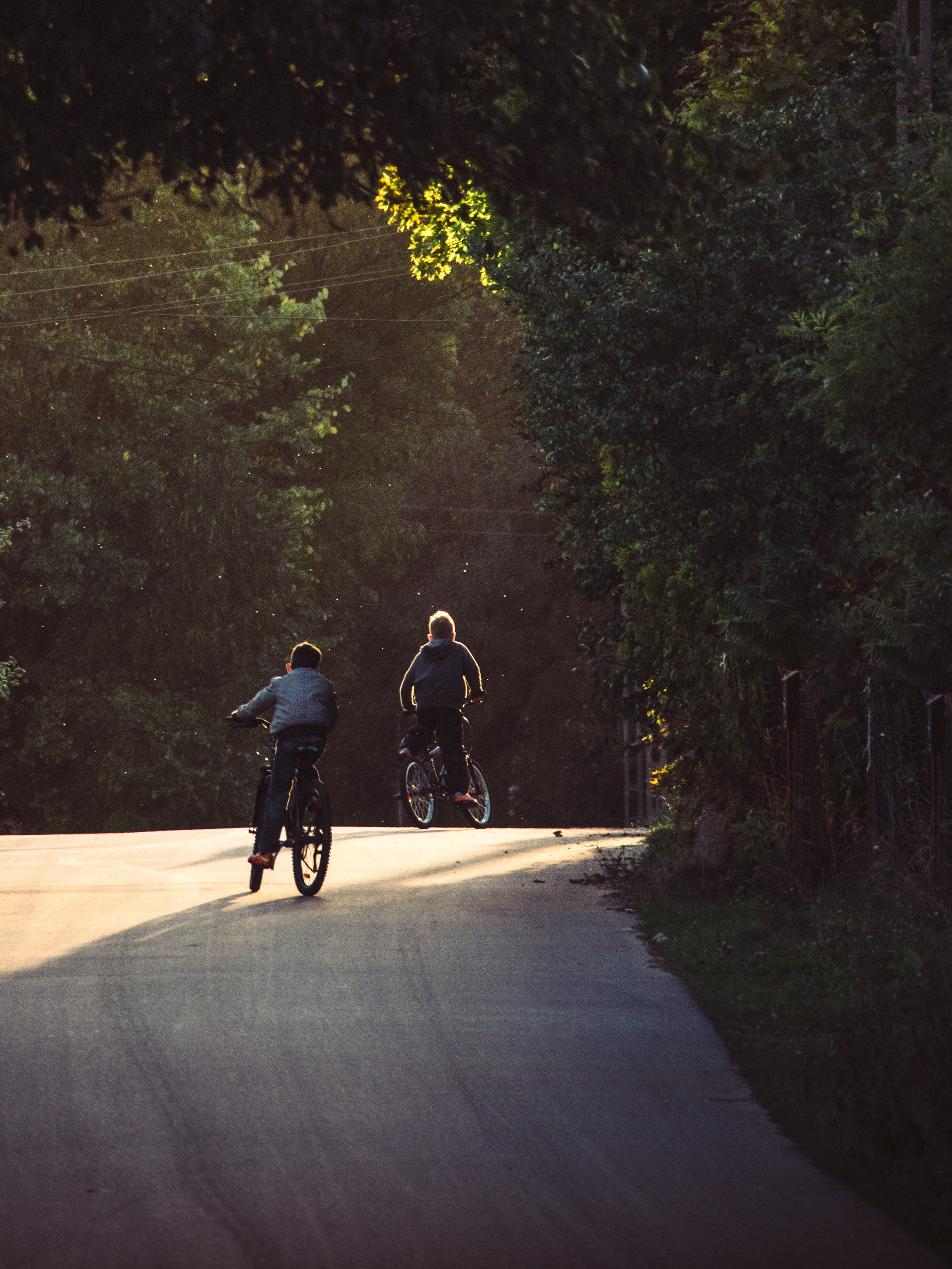 cycling, positive emotion, forest, land vehicle, children, men, outdoors, the way forward, 2K, people, plant, nature, lifestyles, real people, bicycle, Phone HD Wallpaper