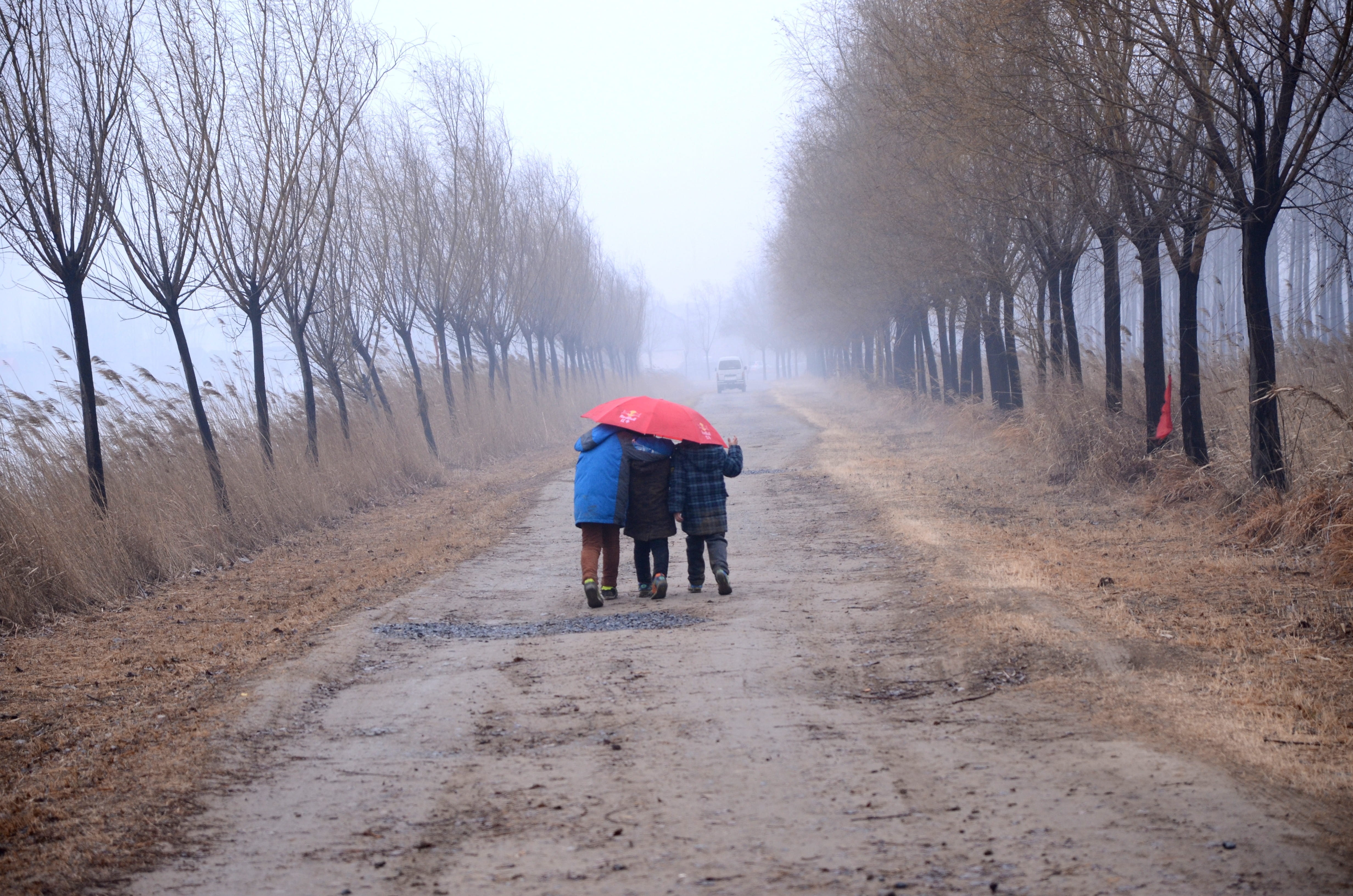 full length, bare tree, direction, road, childlike, two people, day, women, adult, innocence, dirt, diminishing perspective, childhood, 4K, rear view, HD Wallpaper