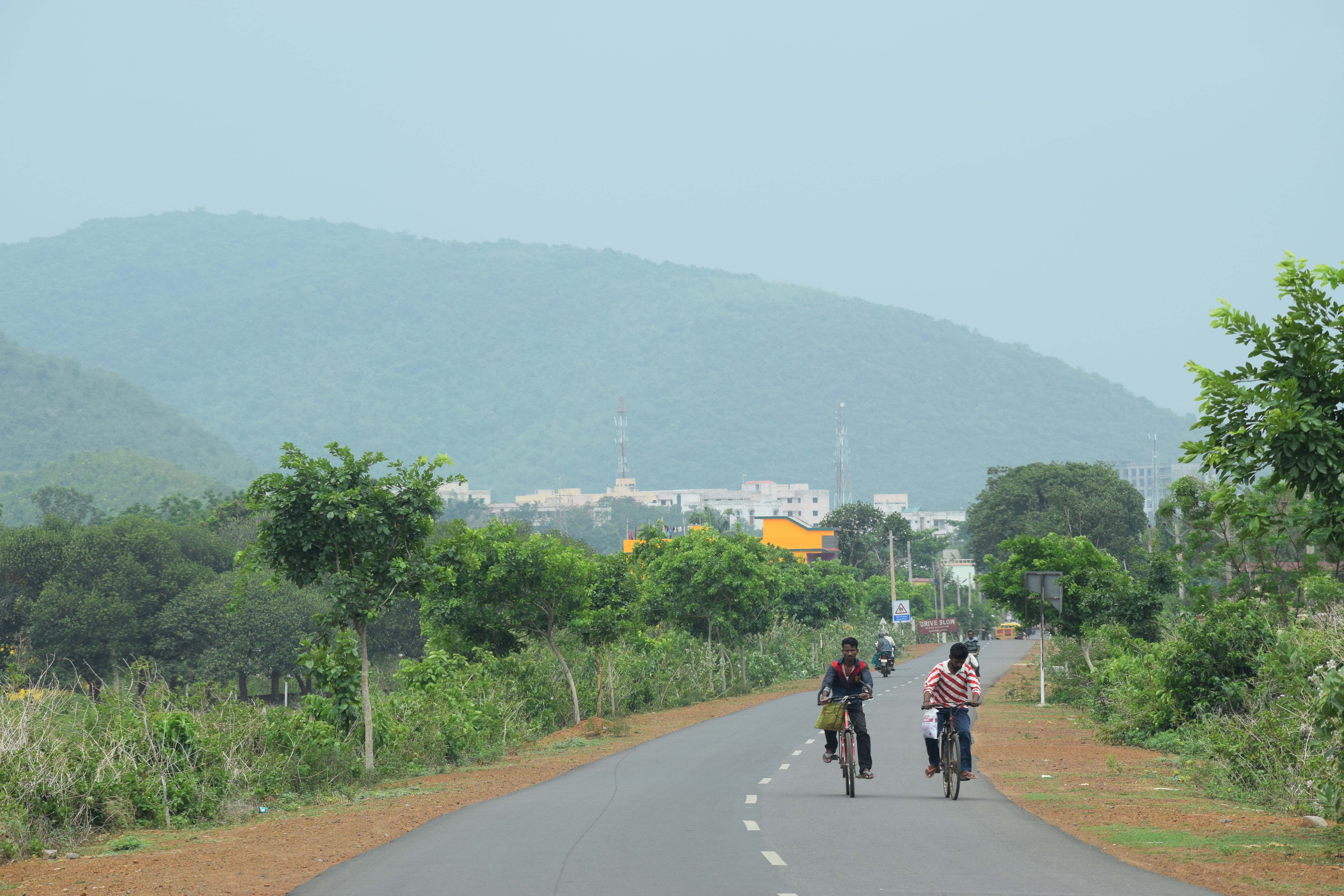 cyclist, plant, bicycle, adult, hill, fitness, full length, road, direction, travel, 5K, landscape, rear view, man, green color, people, day, sky, riding, HD Wallpaper
