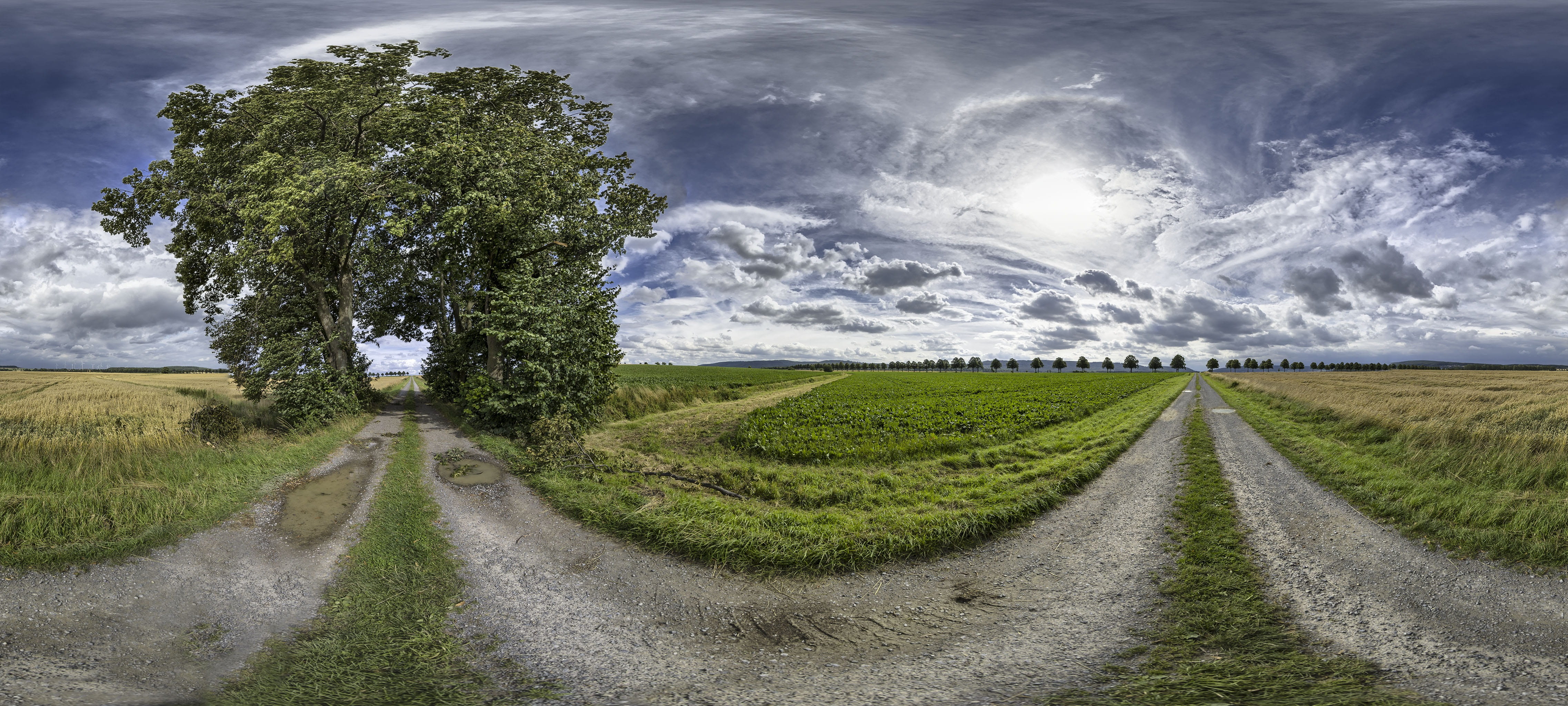 way, tree, sky, scenics - nature, vanishing point, grove of trees, beauty in nature, clouds, transportation, dirt road, land, cloud - sky, the way forward, HD Wallpaper