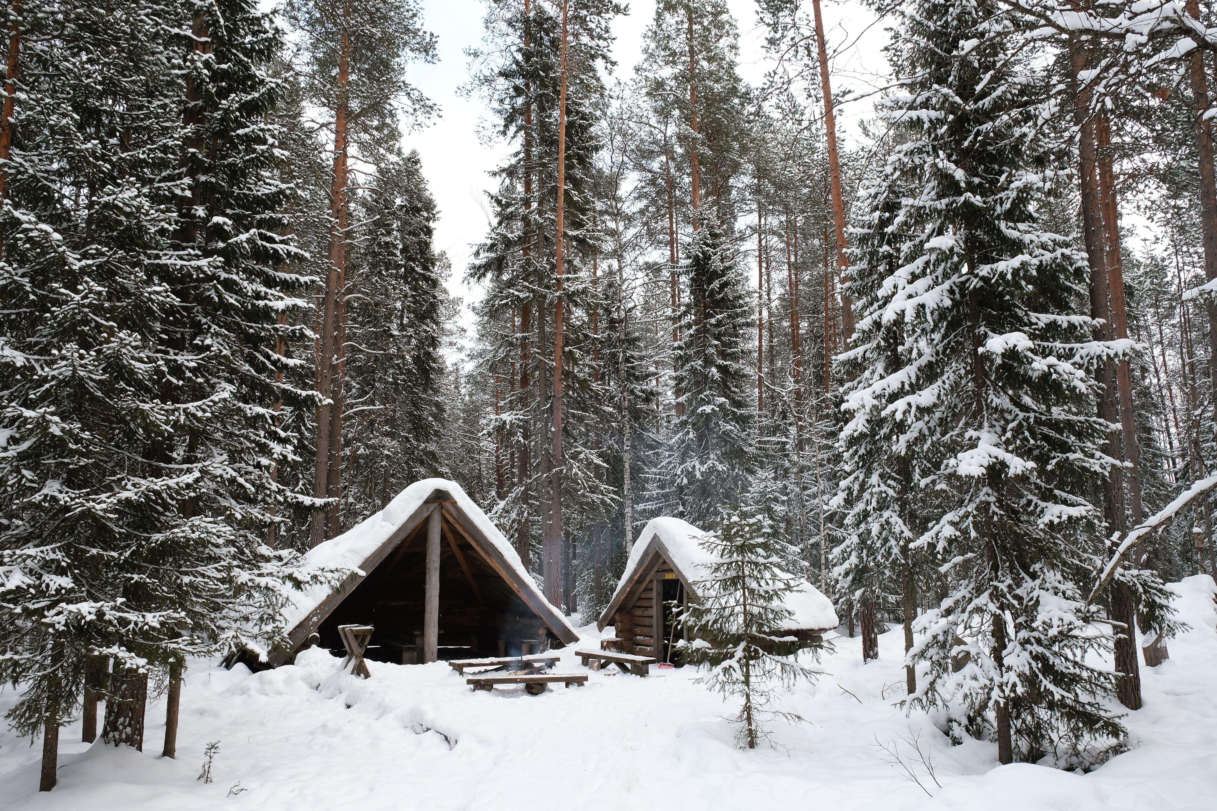 built structure, trees, woodland, beauty in nature, house, forest, scenics, Winter Wonderland, snow, rural Scene, nature, brown, green, wood, weather, cold temperature, HD Wallpaper