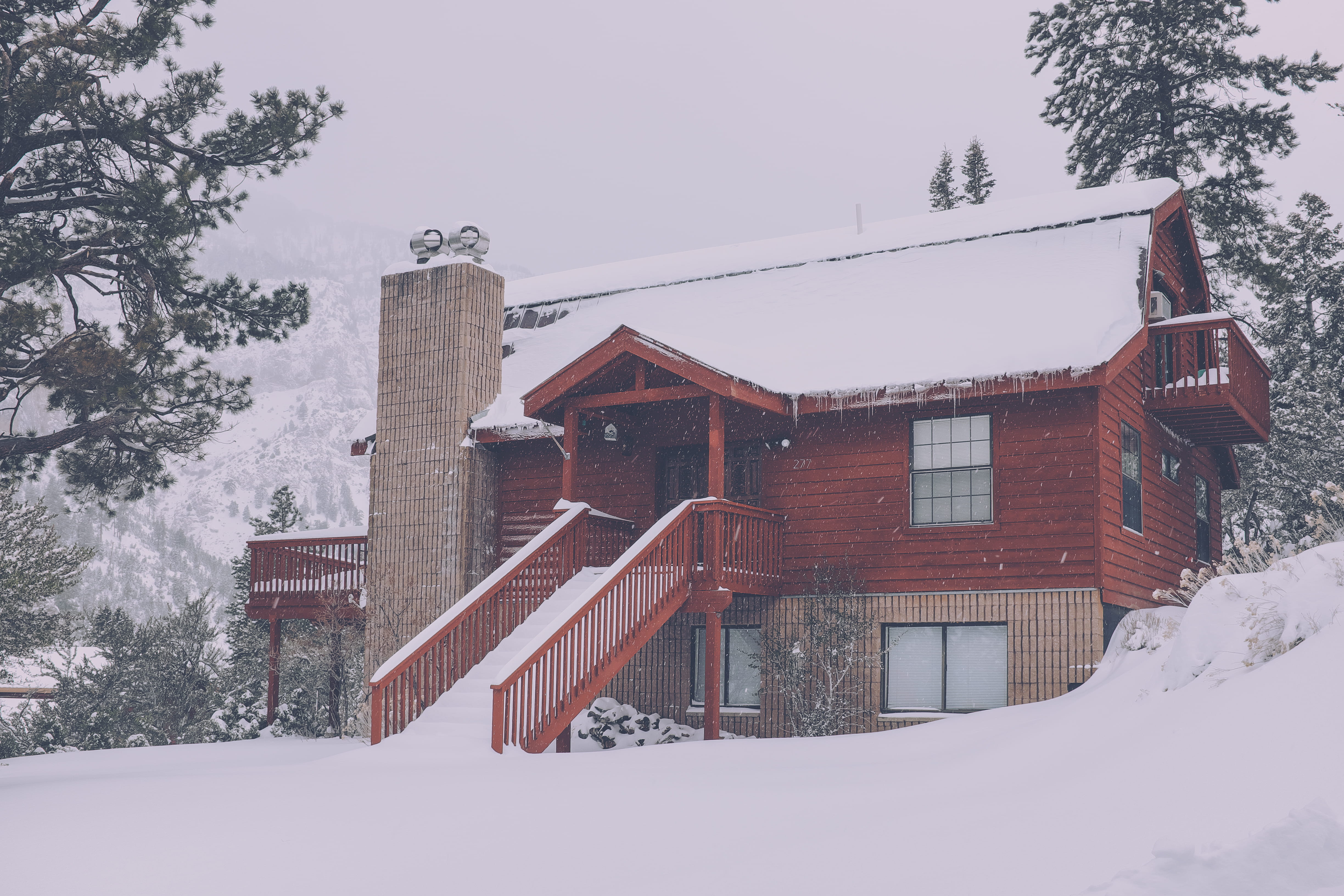 house, trees, surrounded, covered, cabin, winter, plant, green, nature, wooden, gray, day, leaf, building exterior, coniferous tree, architectural, outdoors, HD Wallpaper