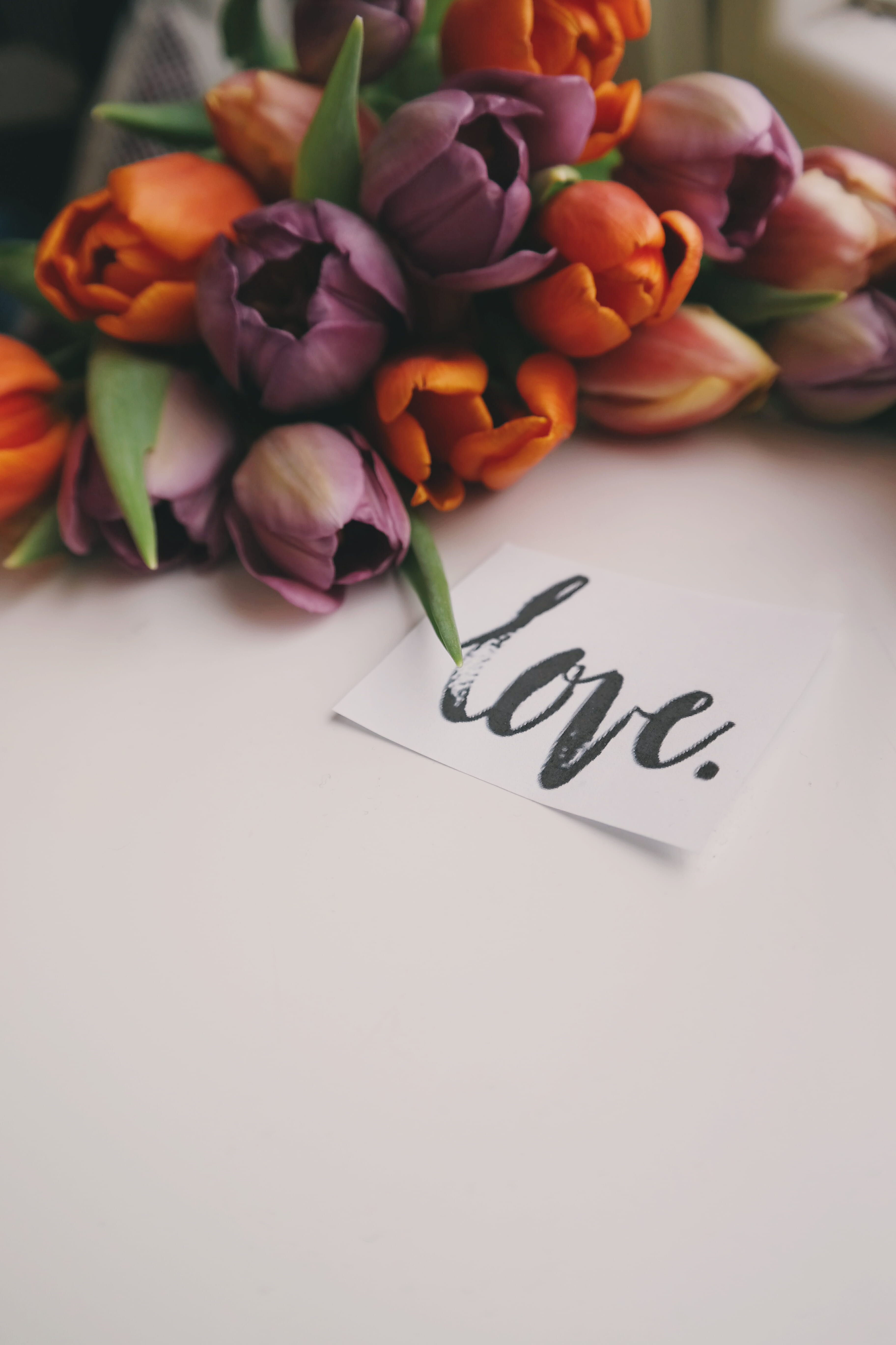plant, vulnerability, high angle view, tulips, bunch of flowers, writing, western script, flowering plant, paper, flower head, freshness, petal, no people, Phone HD Wallpaper