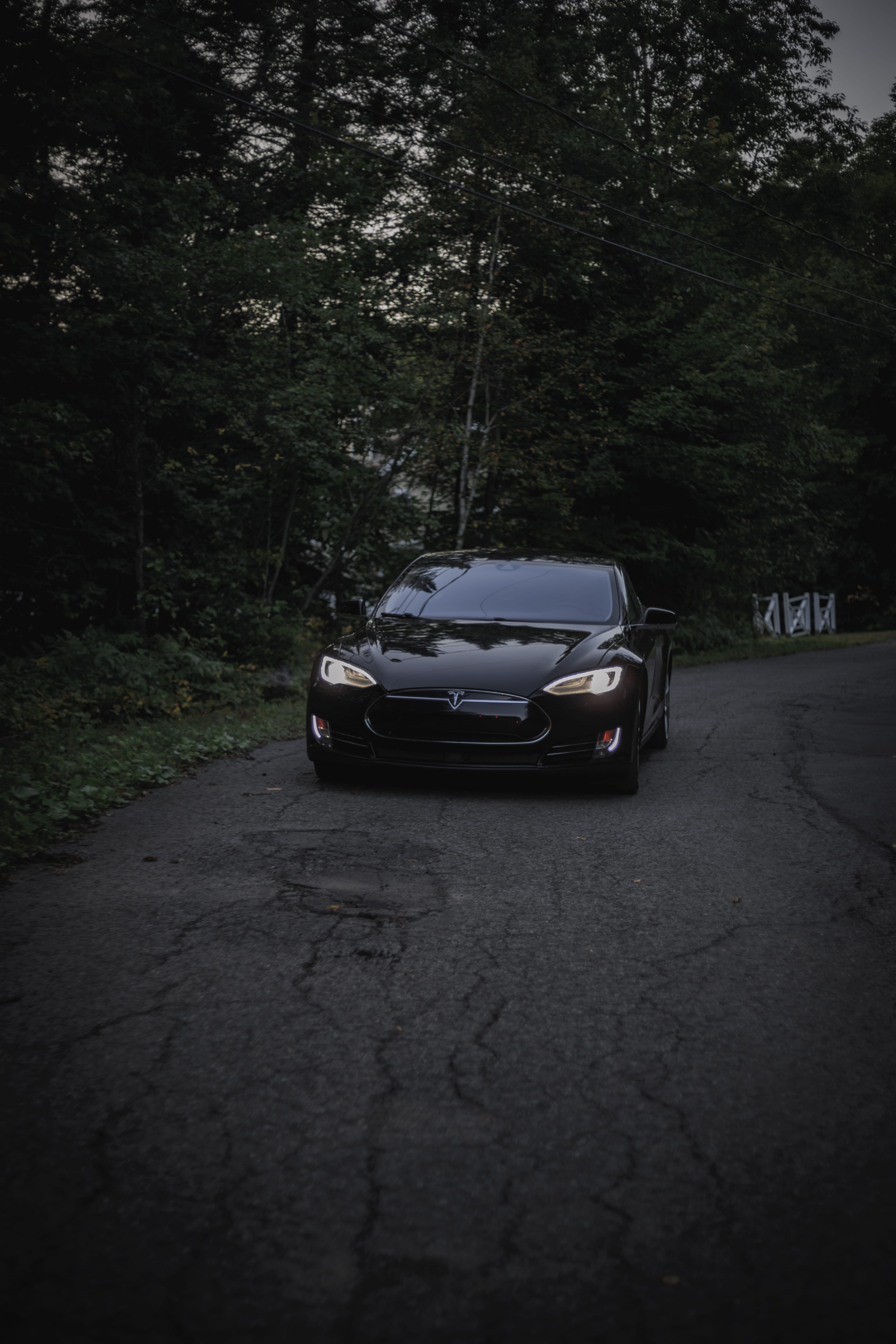 black, street, travel, plant, forest, road, nighttime, transportation, car, tree, tesla, s, no people, motor vehicle, land, mode of transportation, nature, Phone HD Wallpaper