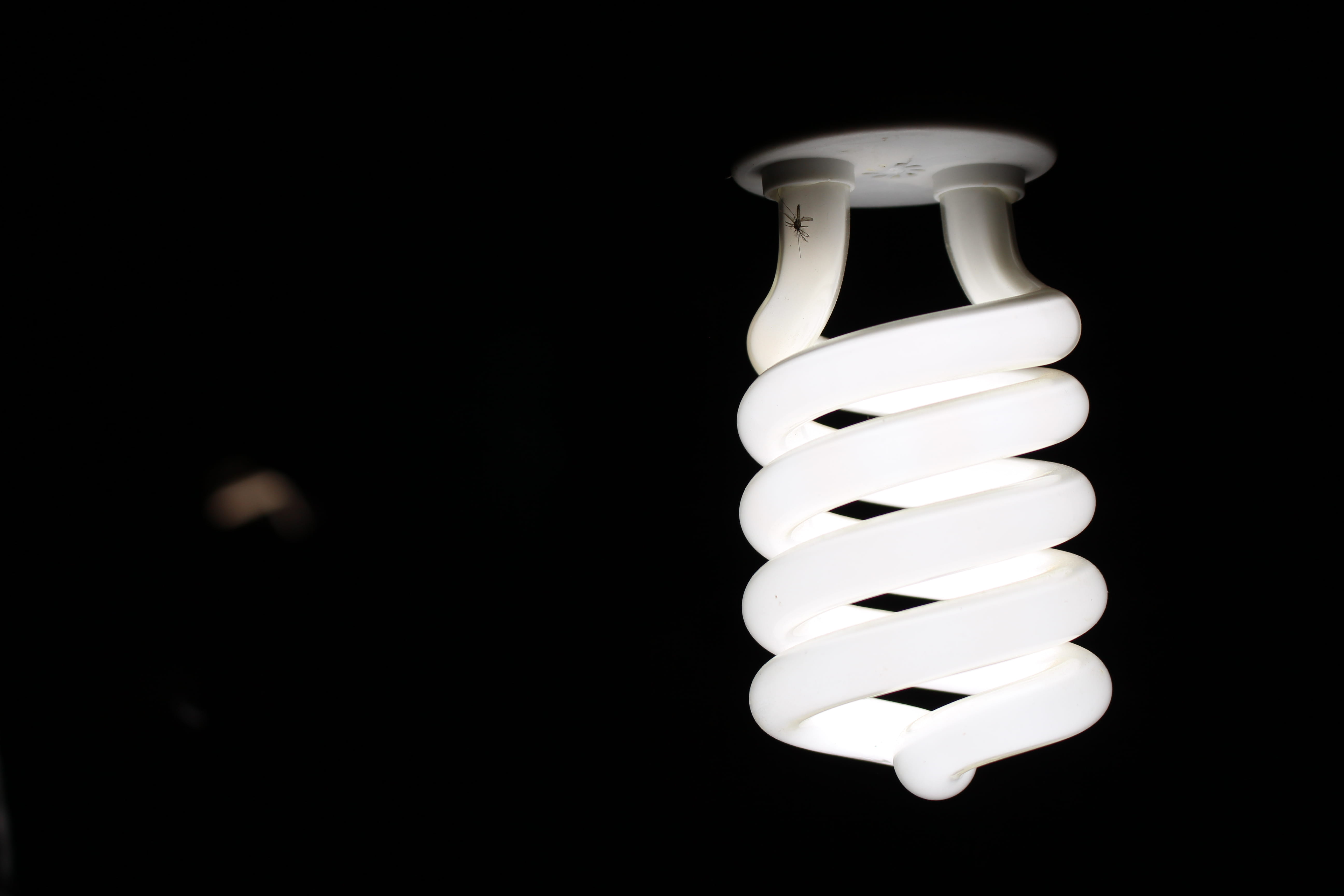 copy space, cut out, bulb, spiral, environmental conservation, lightbulb, lighting equipment, white color, energy efficient, studio shot, electric light, HD Wallpaper