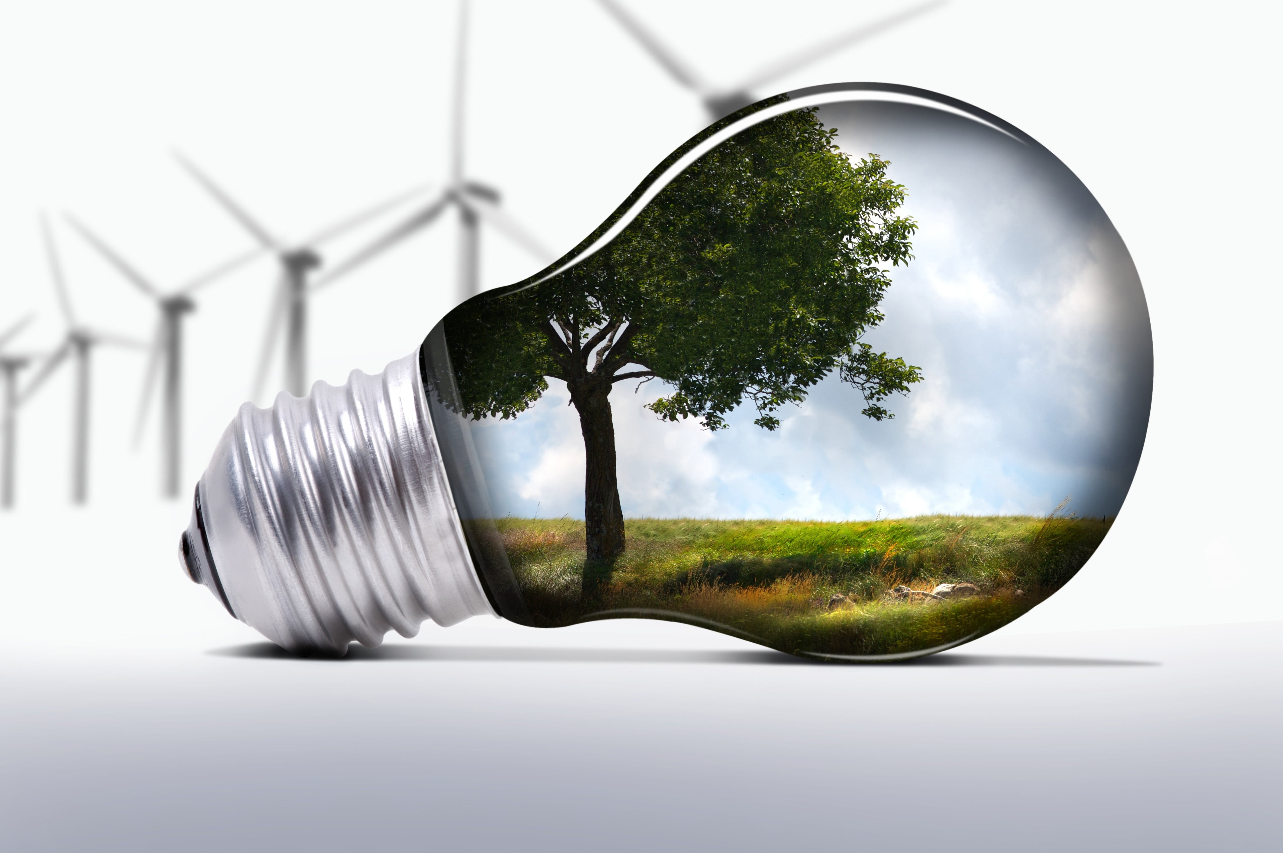 day, plant, windmills, energy, power Supply, single Object, environmental Conservation, shiny, 4K, power Line, technology, led, studio shot, metal, efficiency, HD Wallpaper