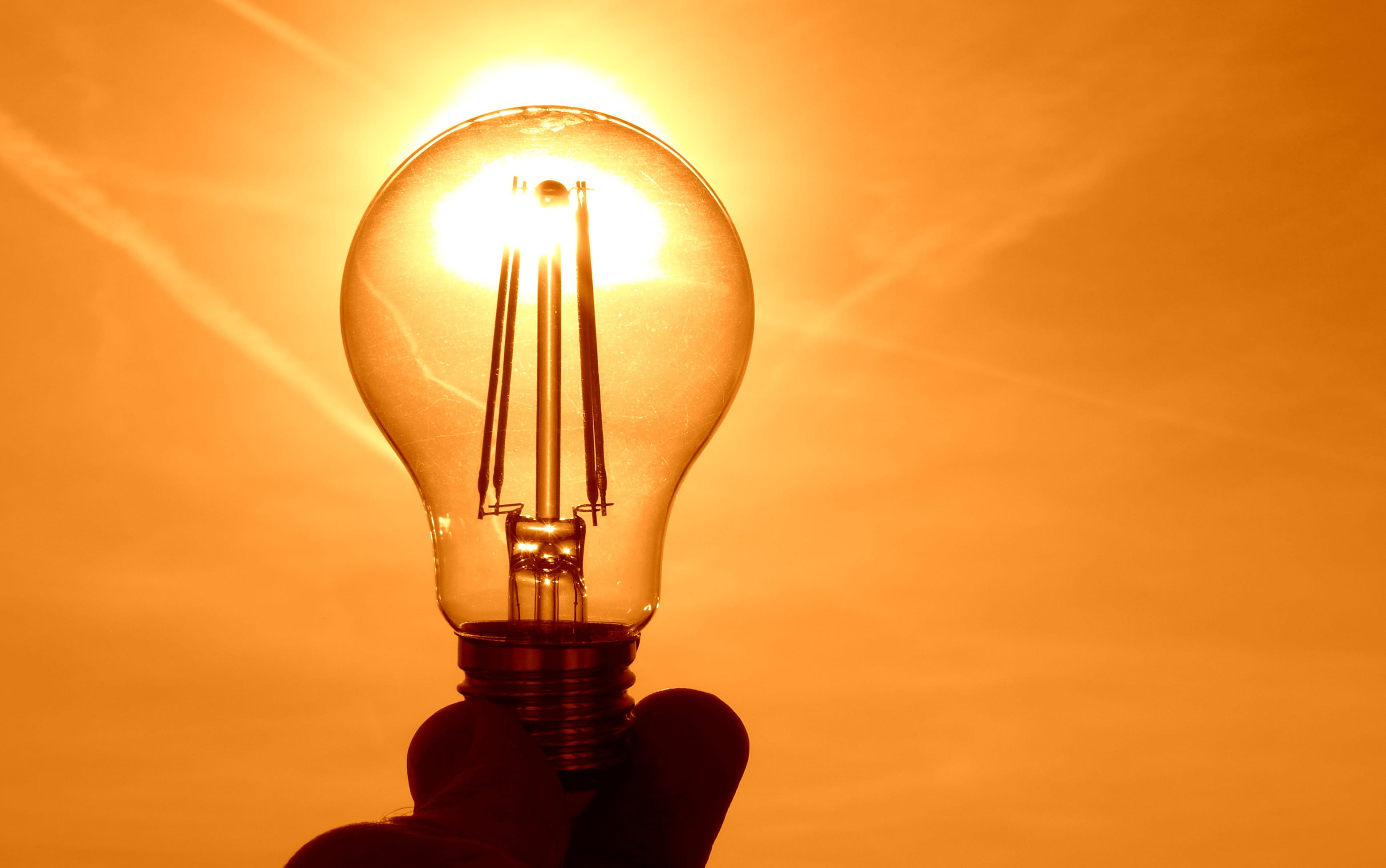 human hand, 2K, power supply, sun, light, single object, bright, hand, electric lamp, energy, hell, glowing, filament, electricity, holding, human body part, HD Wallpaper