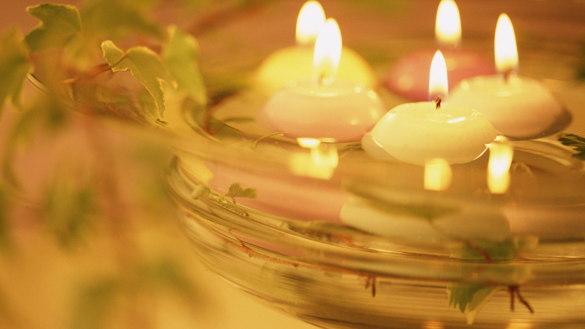 food, reflection, close-up, heat - temperature, indoors, burning, life, fire, plant, food and drink, therapy, candle, candles, cord, fire - natural phenomenon, HD Wallpaper