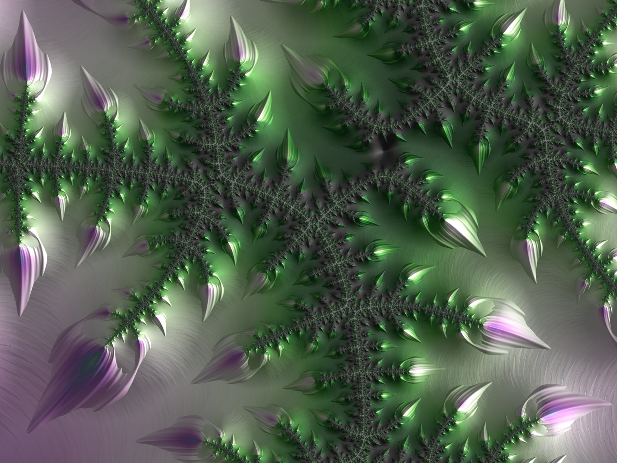 backgrounds, 1080P, Pucker, pink color, mandelbrot, nature, purple, winter, plant, day, tree, alternative medicine, christmas, geometry, decoration, Engraved, HD Wallpaper