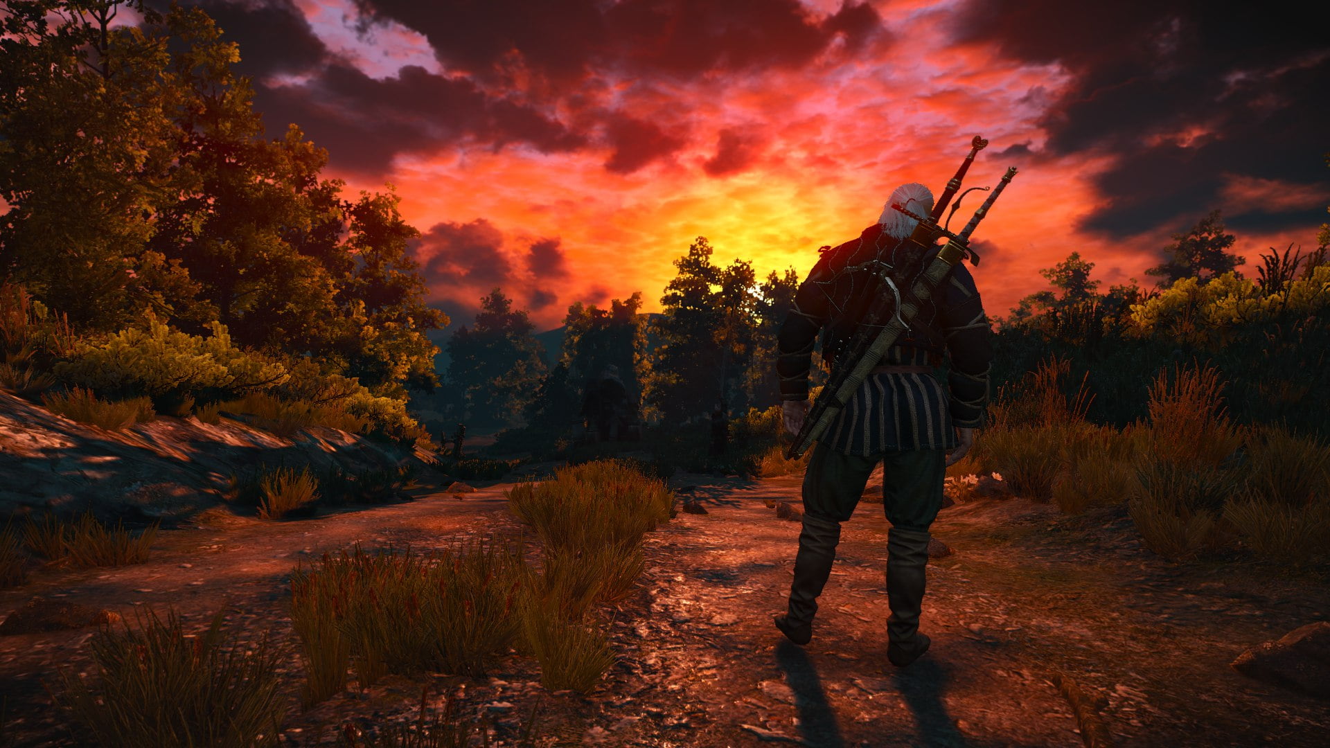 landscape, Geralt of Rivia, Nvidia, The Witcher, games art, 1080P, The Witcher 3: Wild Hunt, HD Wallpaper