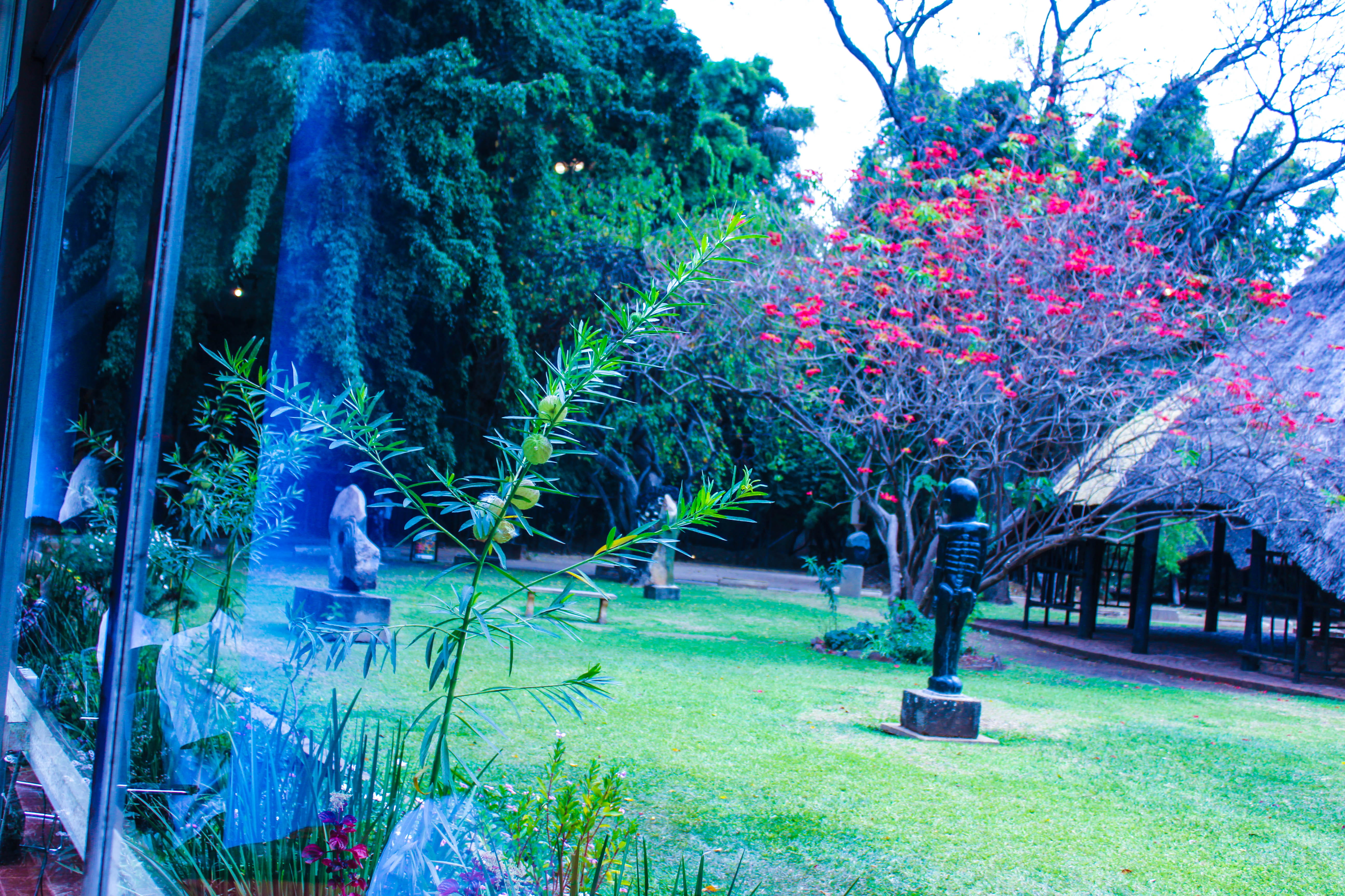 garden, harare, growth, tranquil scene, field, freshness, green color, plant, africa, flower, outdoors, 5K, window, land, park, tranquility, day, sculptures, HD Wallpaper