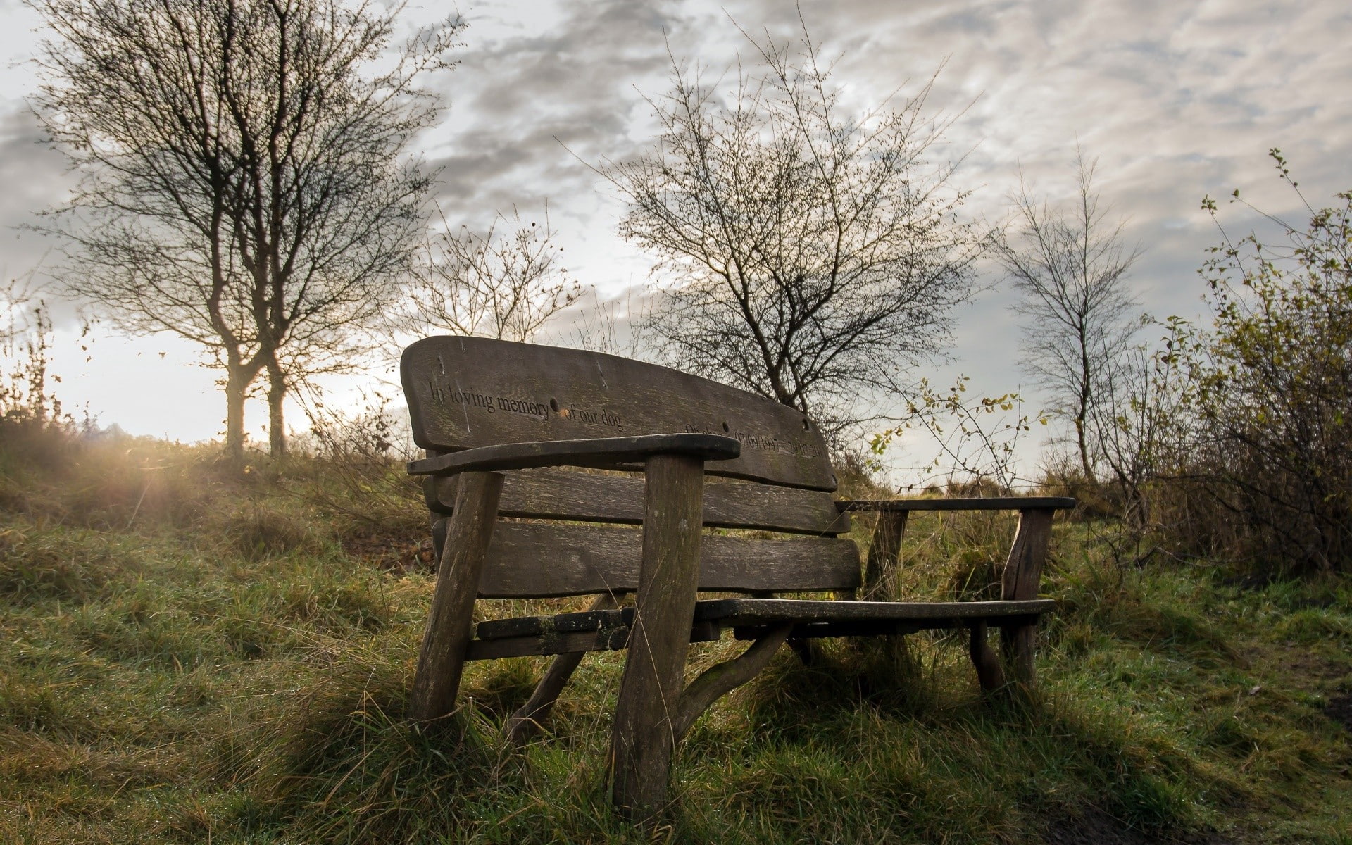 field, landscape, seat, nature, old, chair, plant, sunlight, no people, sky, environment, empty, bare tree, trees, day, outdoors, bench, land, absence, HD Wallpaper