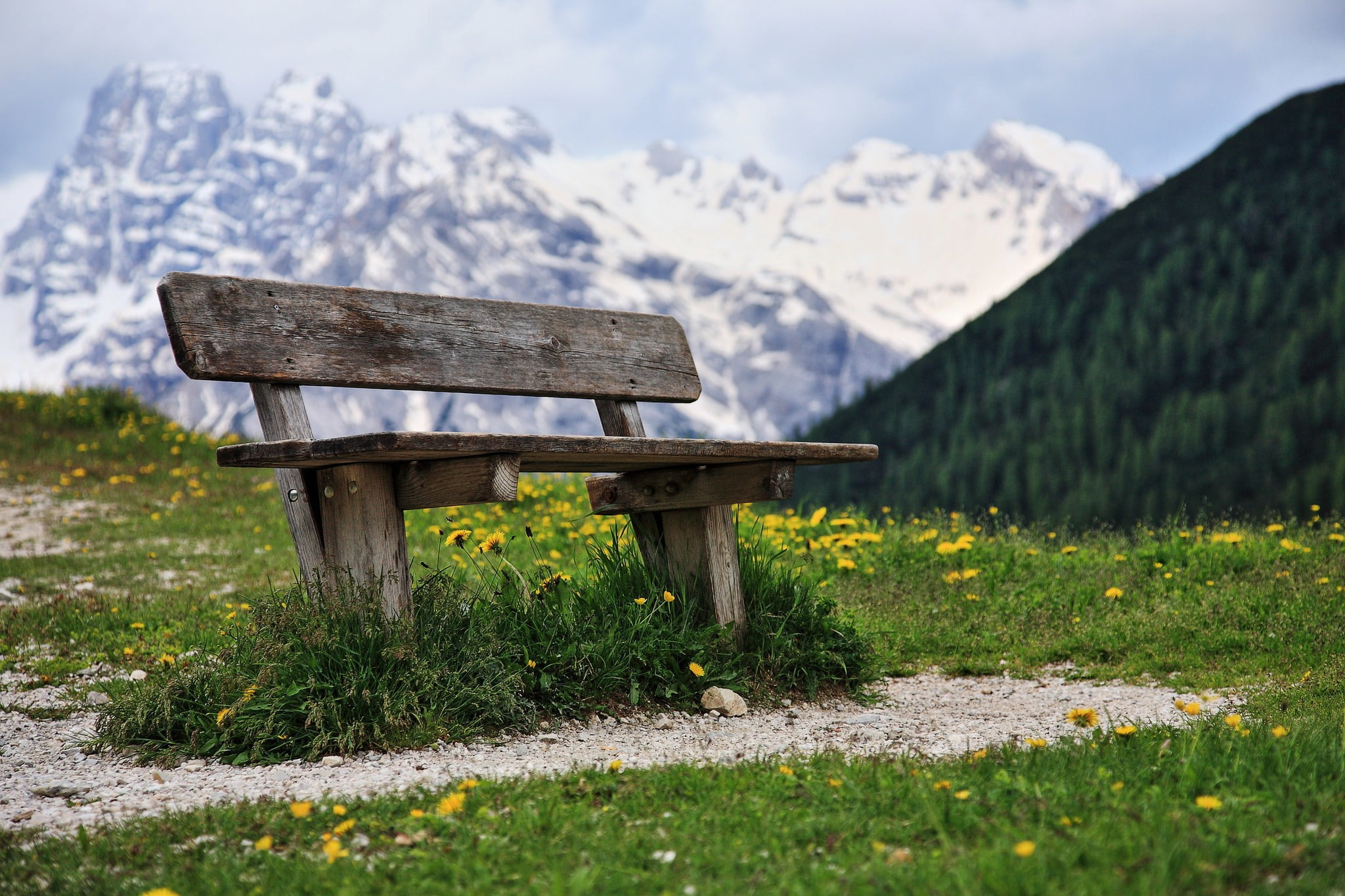 1080P, landscape, land, no people, bench, empty, plant, non-urban scene, park bench, day, nature, forest, outdoors, wood - material, seat, field, beauty in nature, HD Wallpaper